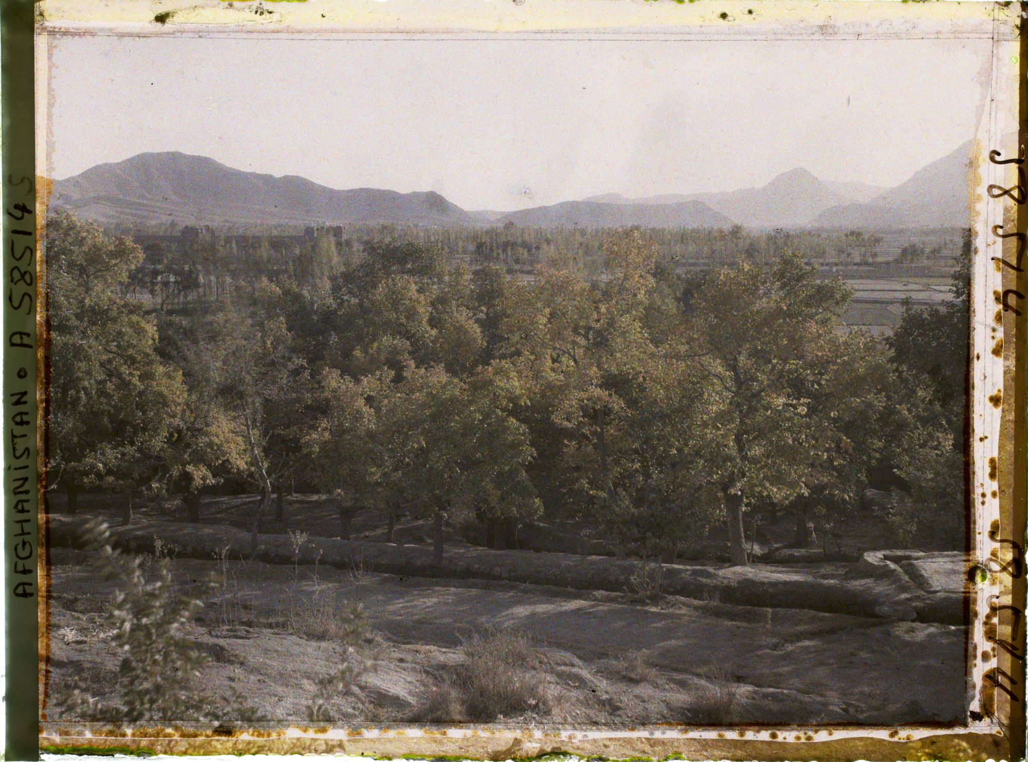 Image représentant Paysage (un ancien caravansérail se profilant derrière des arbres)