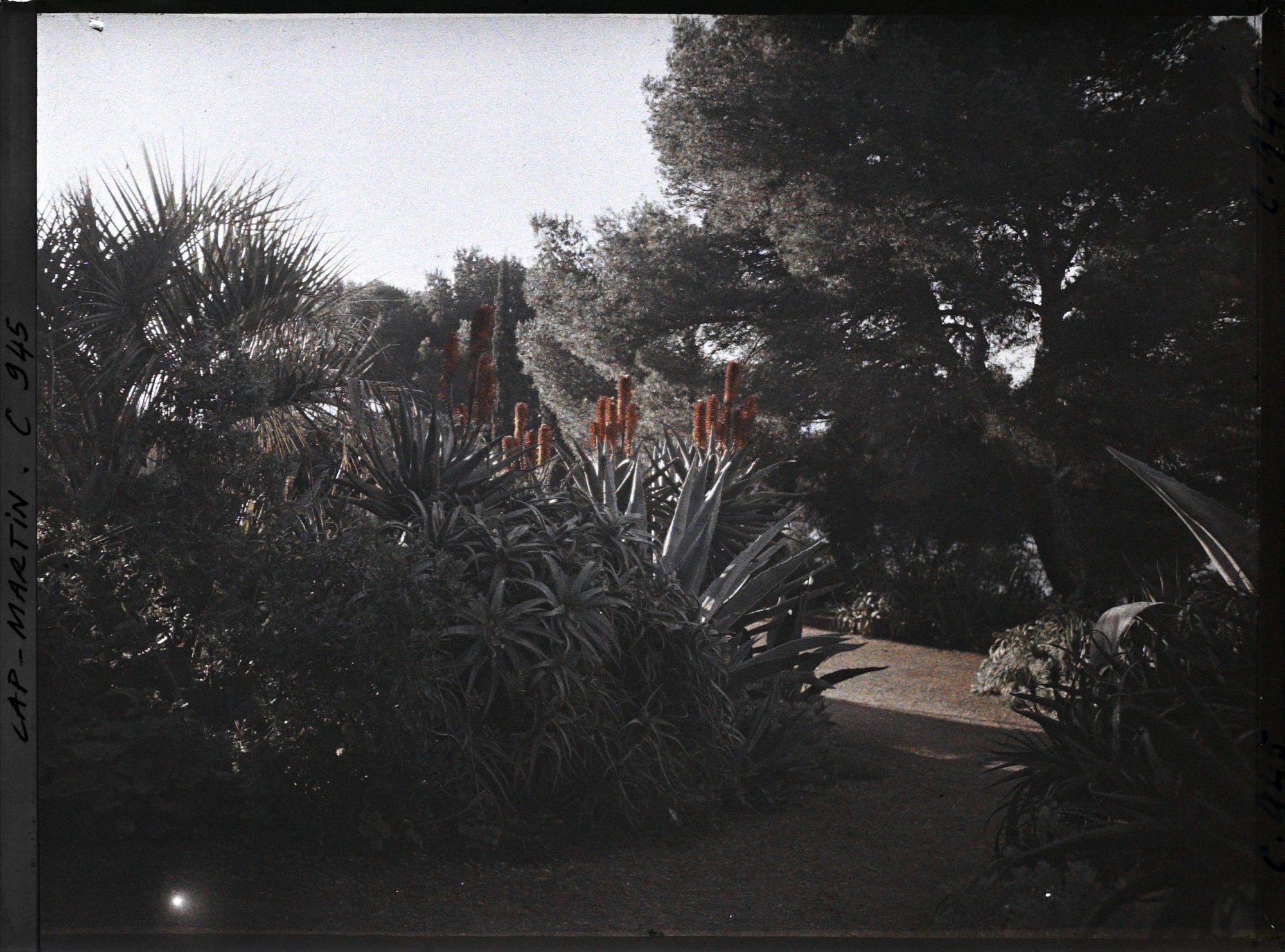 Image représentant Le Jardin C-Jour le matin