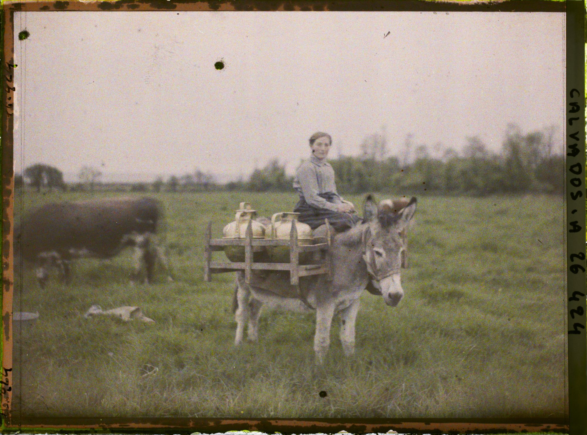 Image représentant Une laitière
