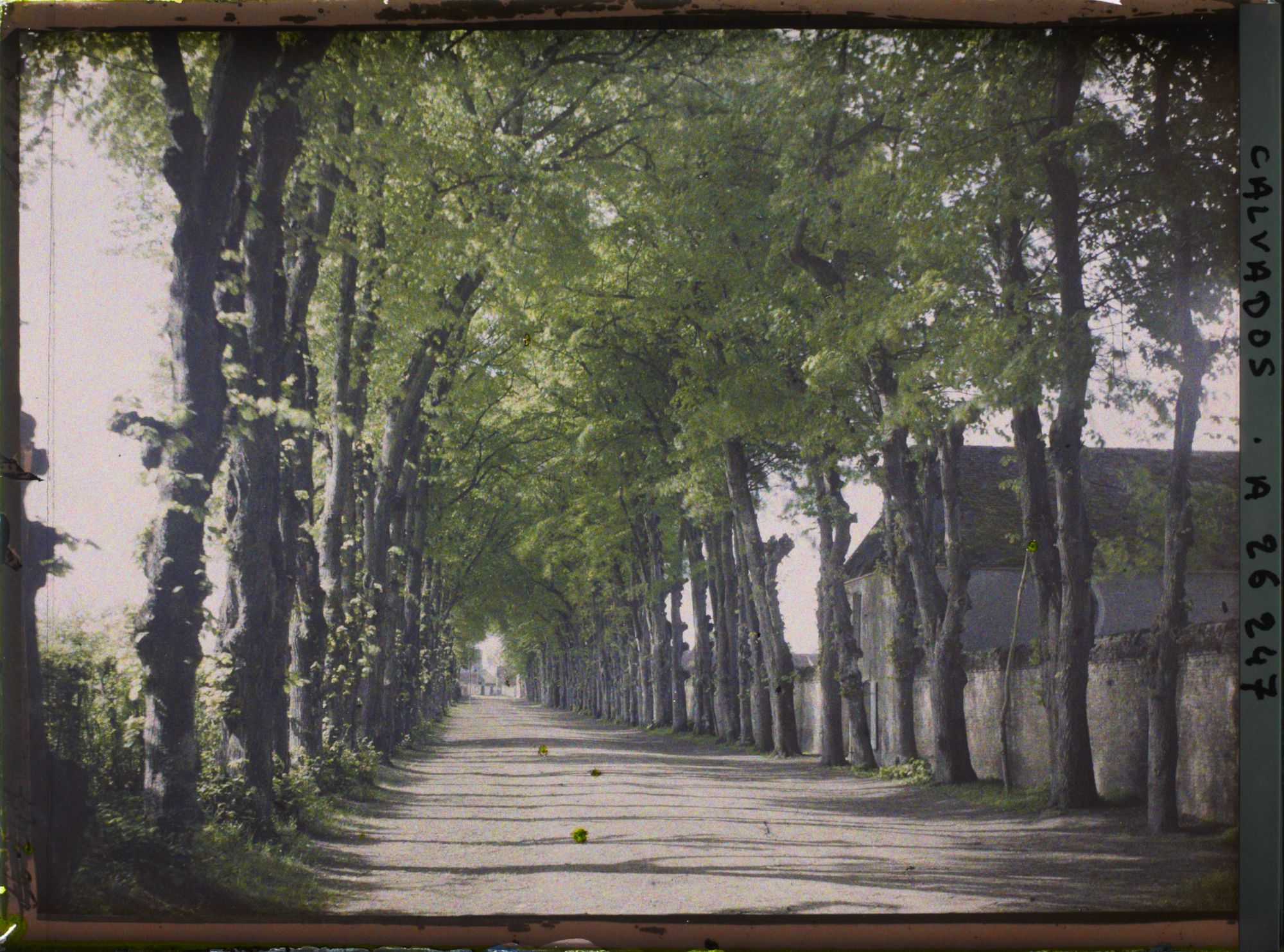 Image représentant La route de Canon