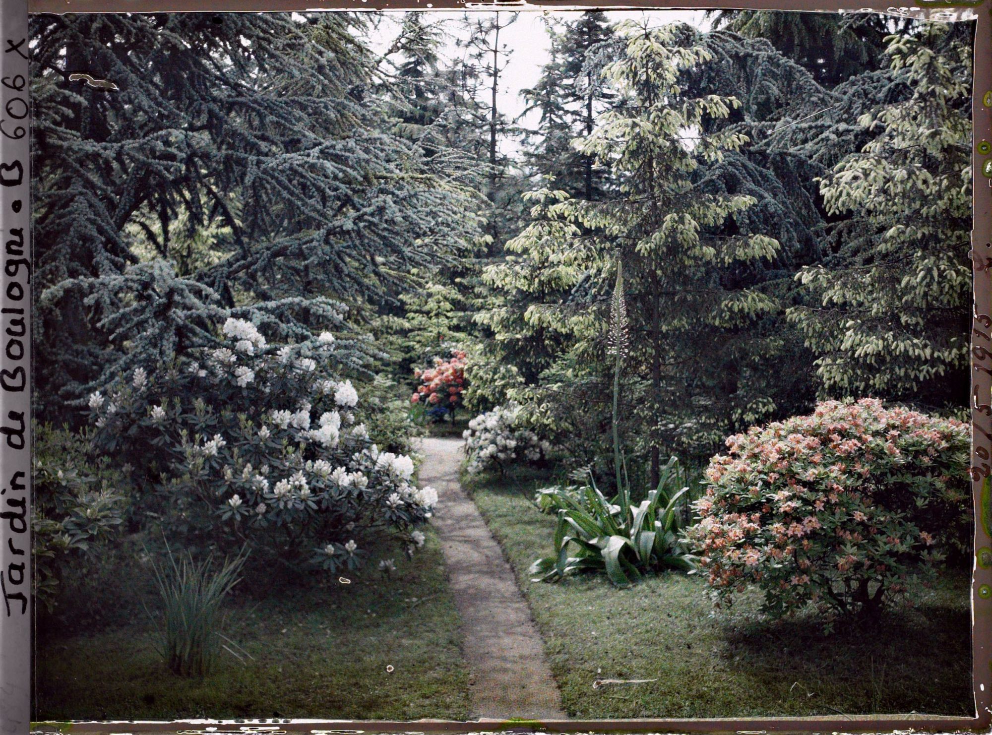 Image représentant Forêt bleue, forêt dorée et marais