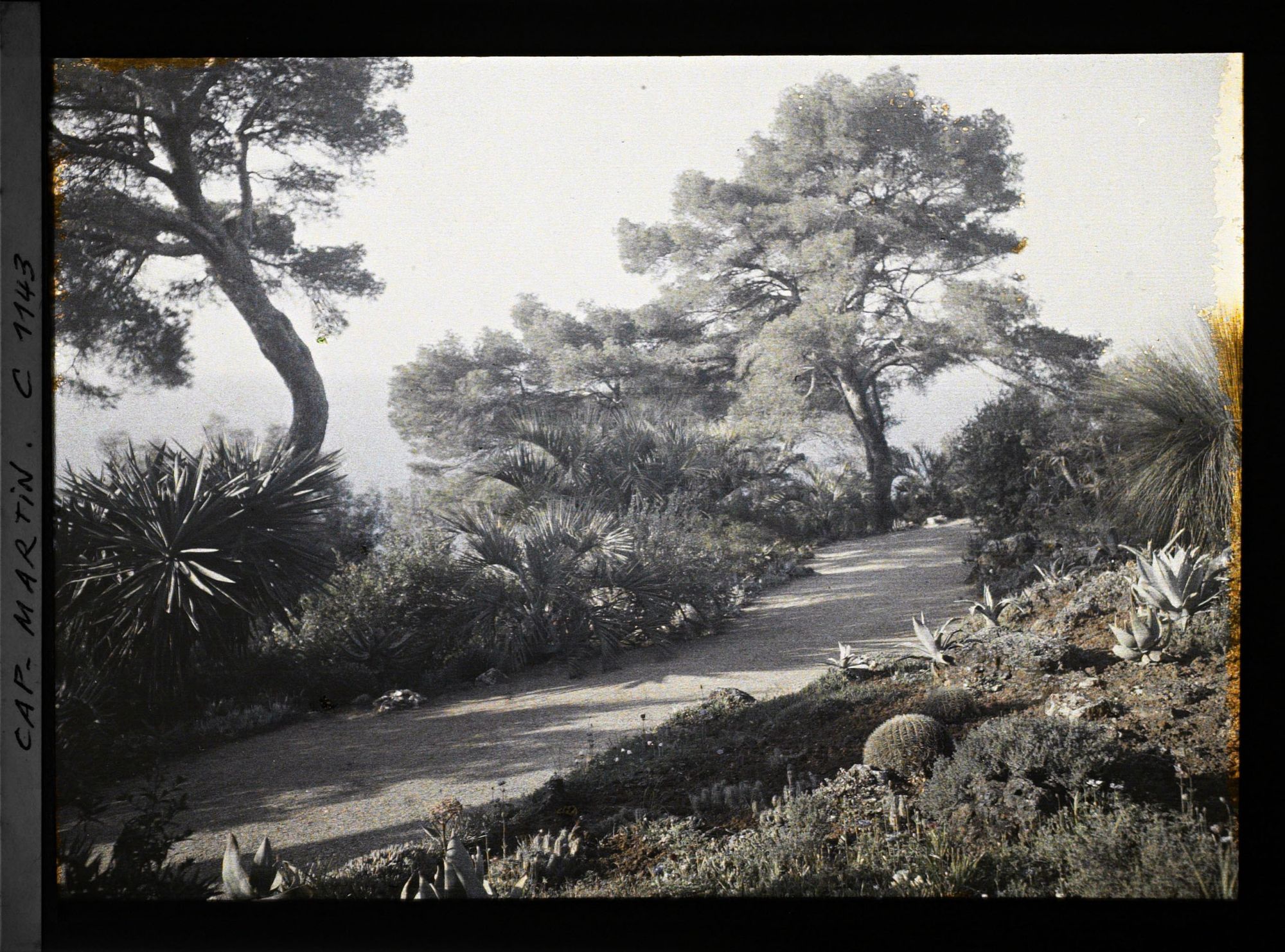 Image représentant le Jardin