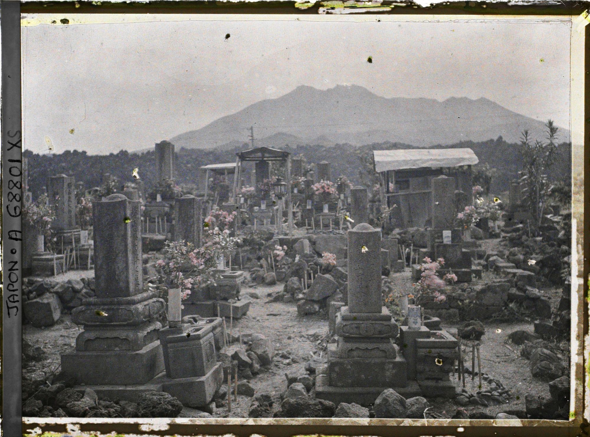 Image représentant Cimetière au pied du Sakurajima
