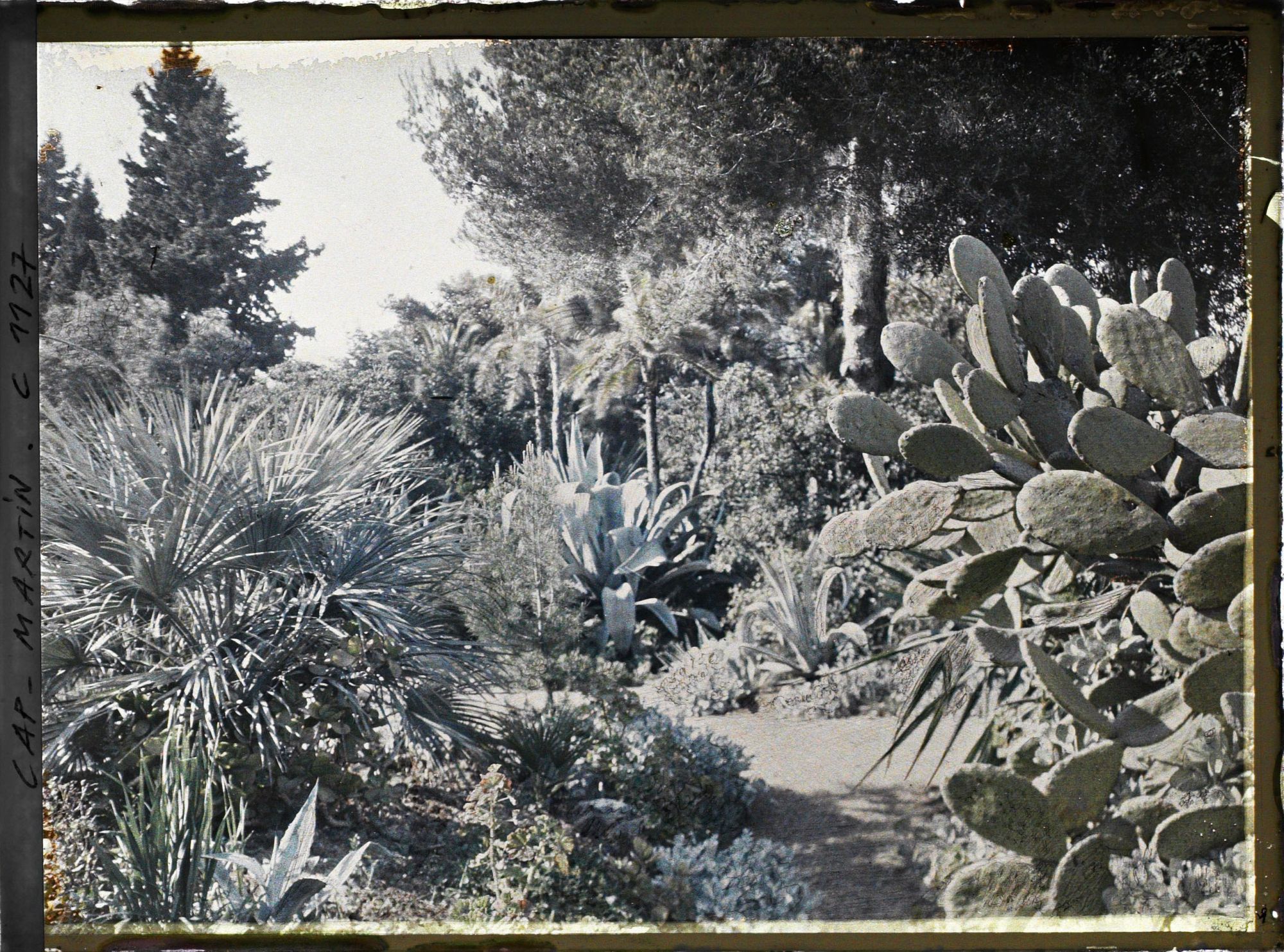 Image représentant le Jardin