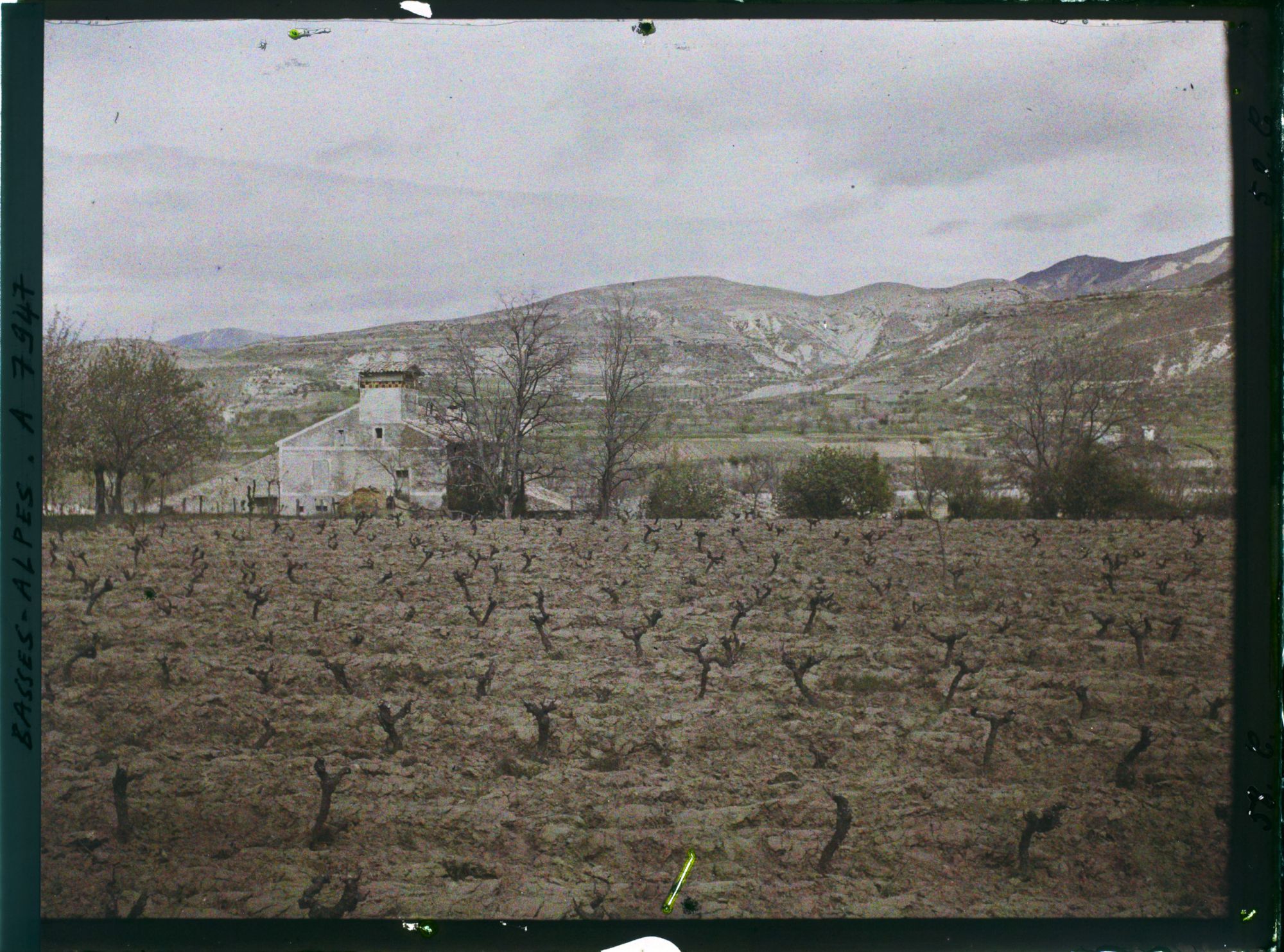 Image représentant Une maison rurale avec pigeonnier, vignes et terre de Provence