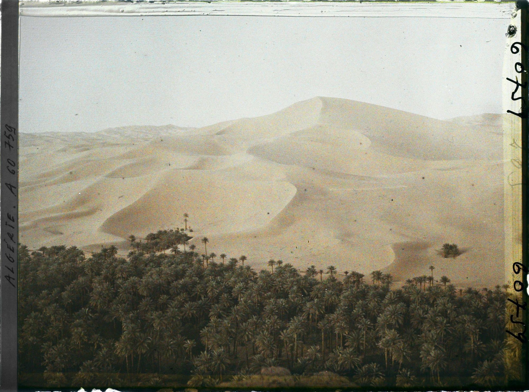 Image représentant L'oasis au pied du Grand Erg