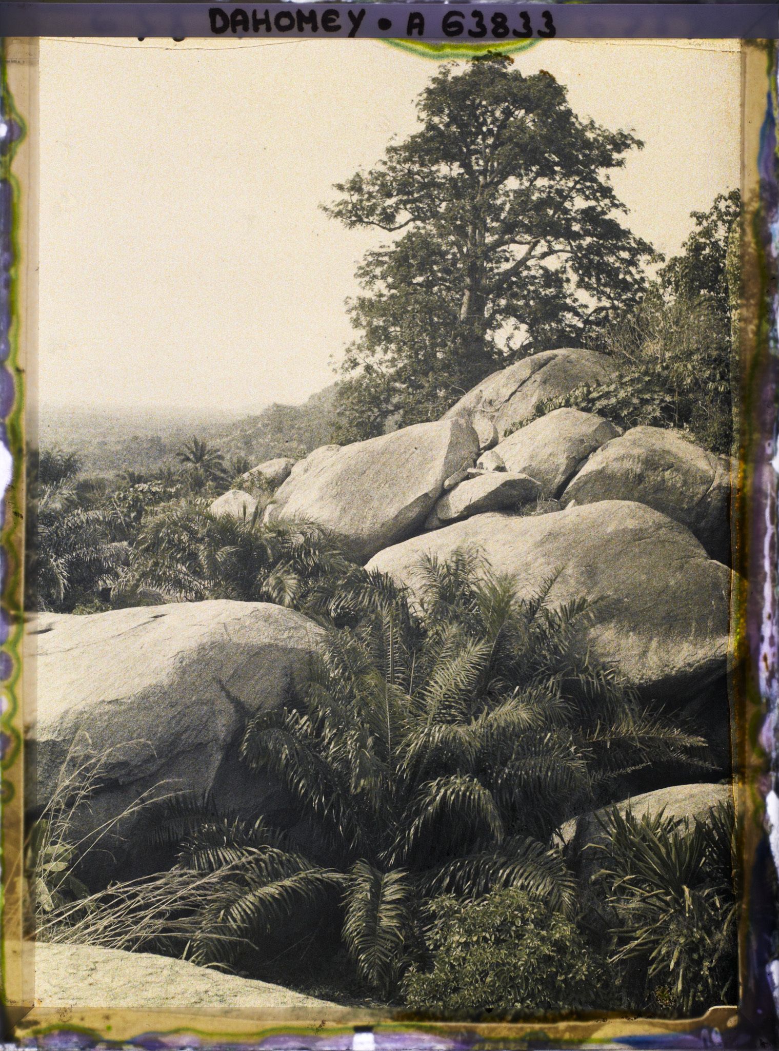 Image représentant Paysage de sommet montagneux