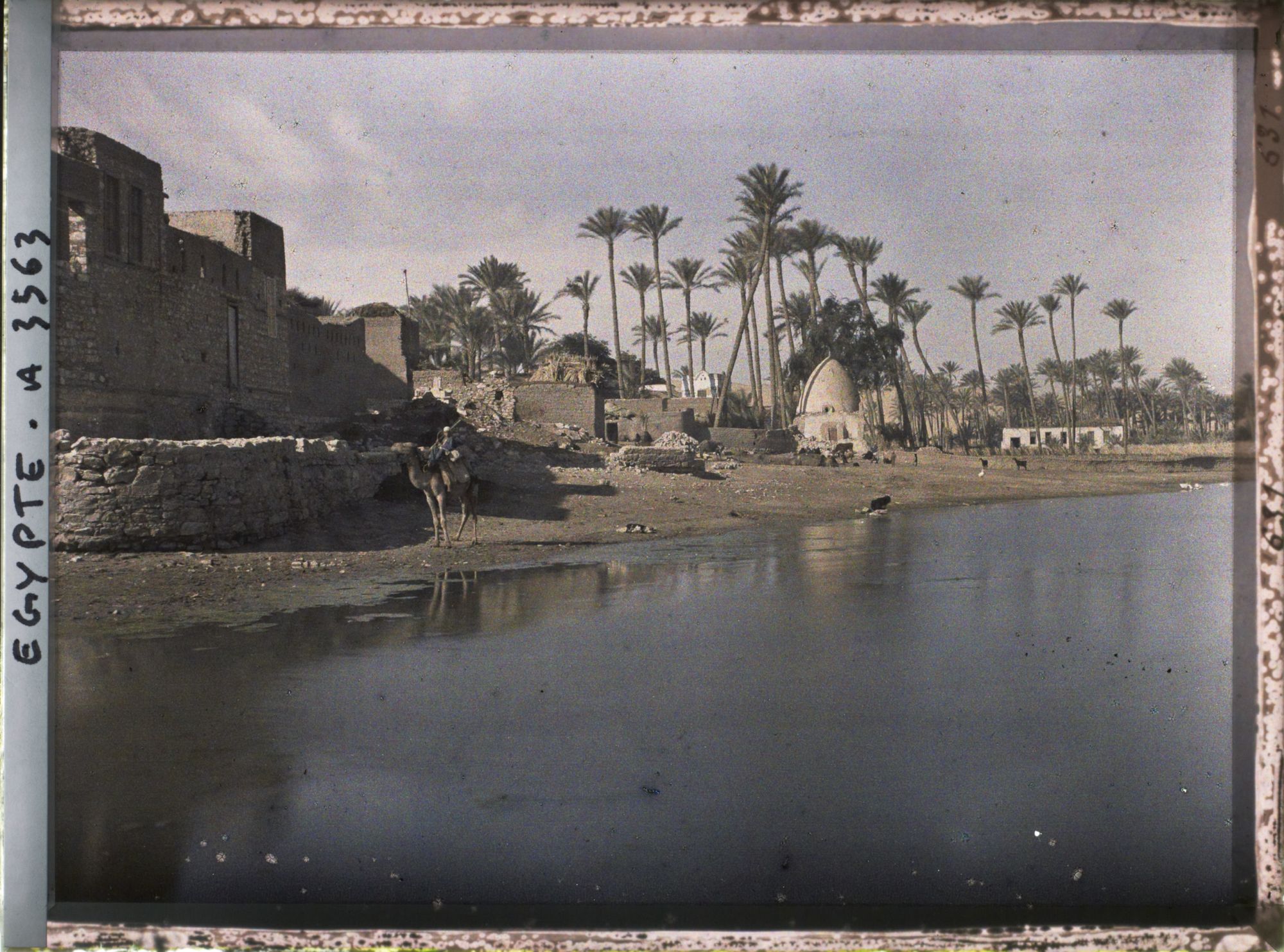 Image représentant Scène de vie quotidienne au bord du Nil dans le village