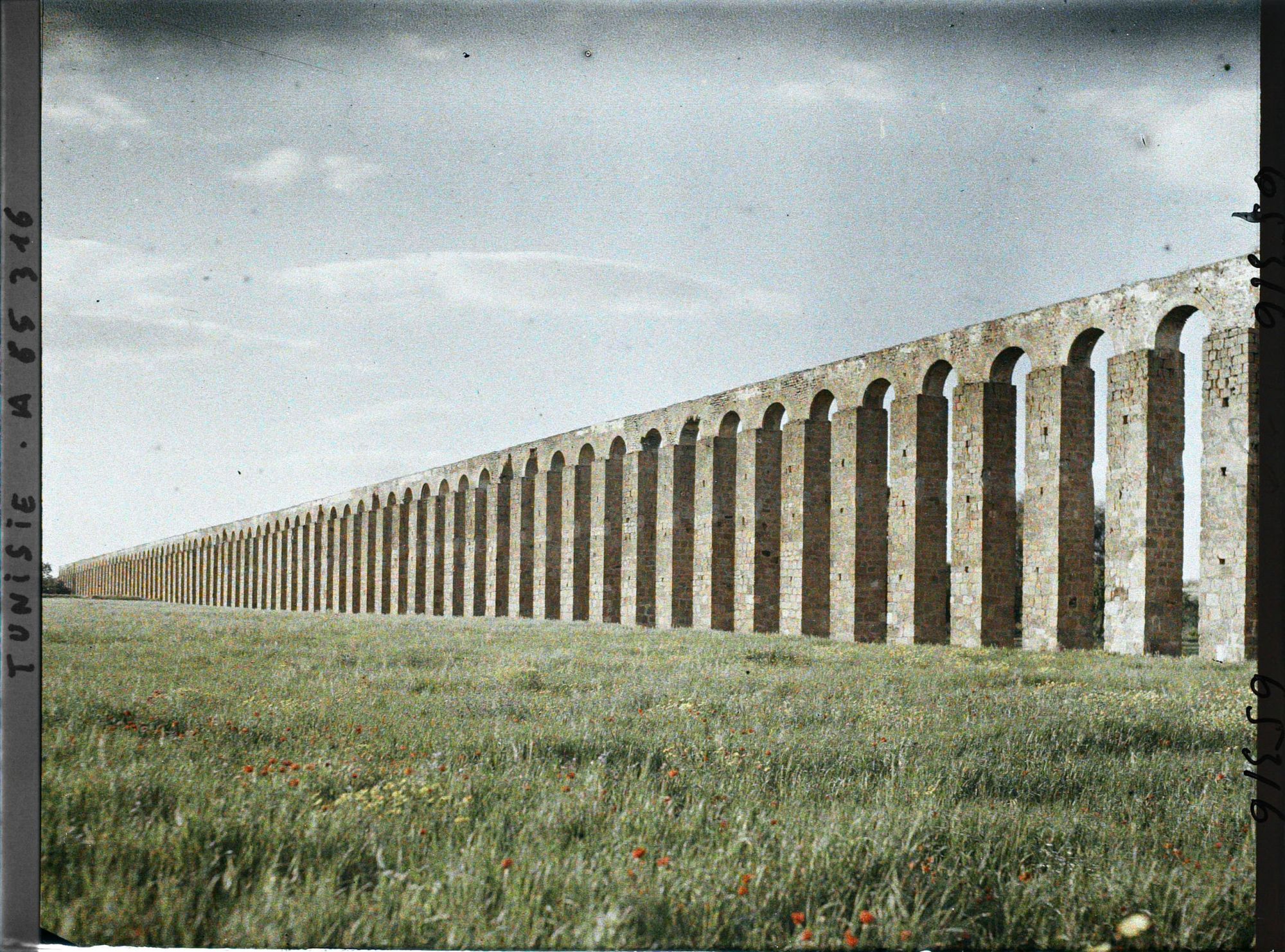 Image représentant L'aqueduc romain reliant Zaghouan à Carthage