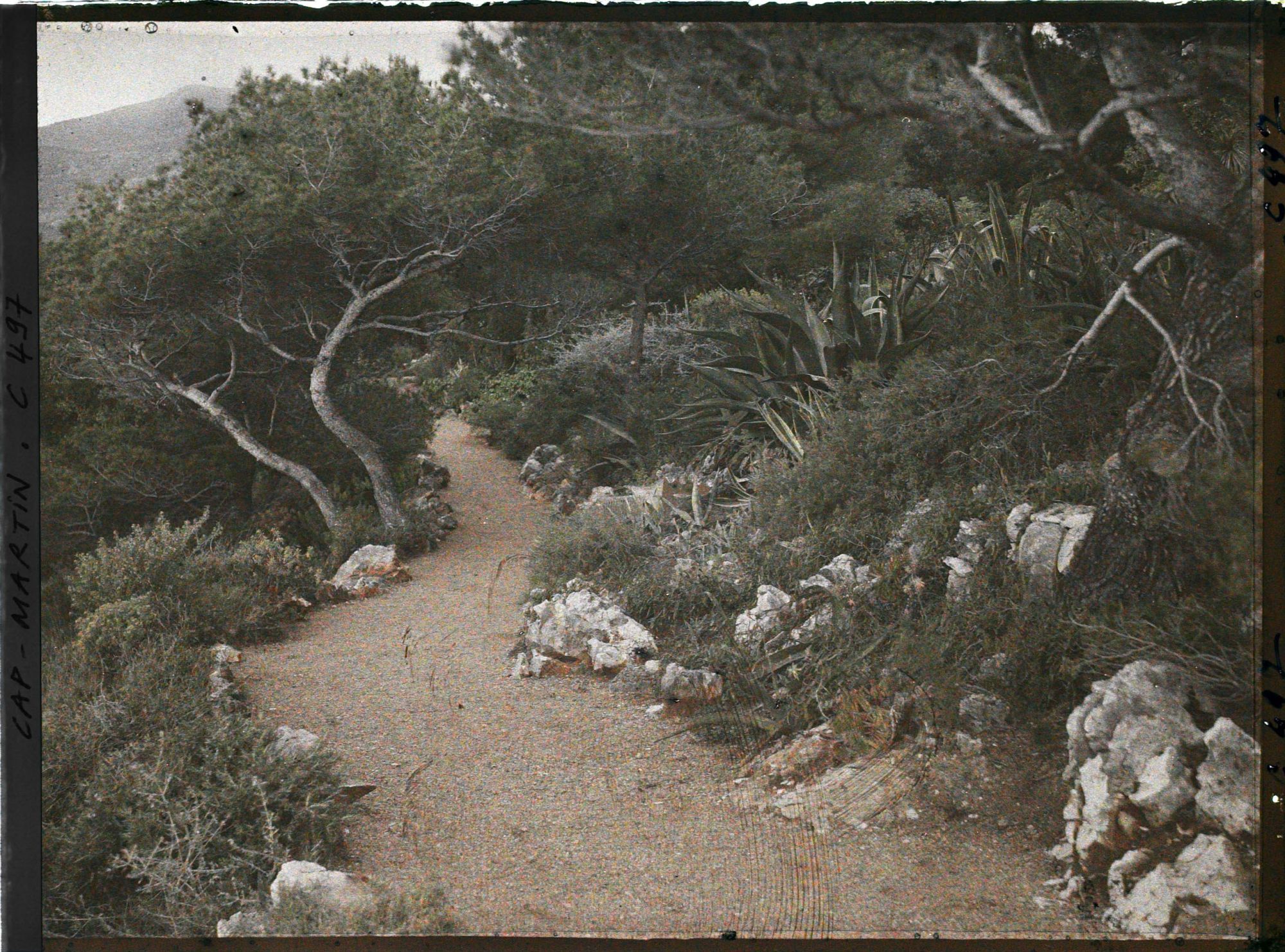 Image représentant Cap Martin Le Jardin