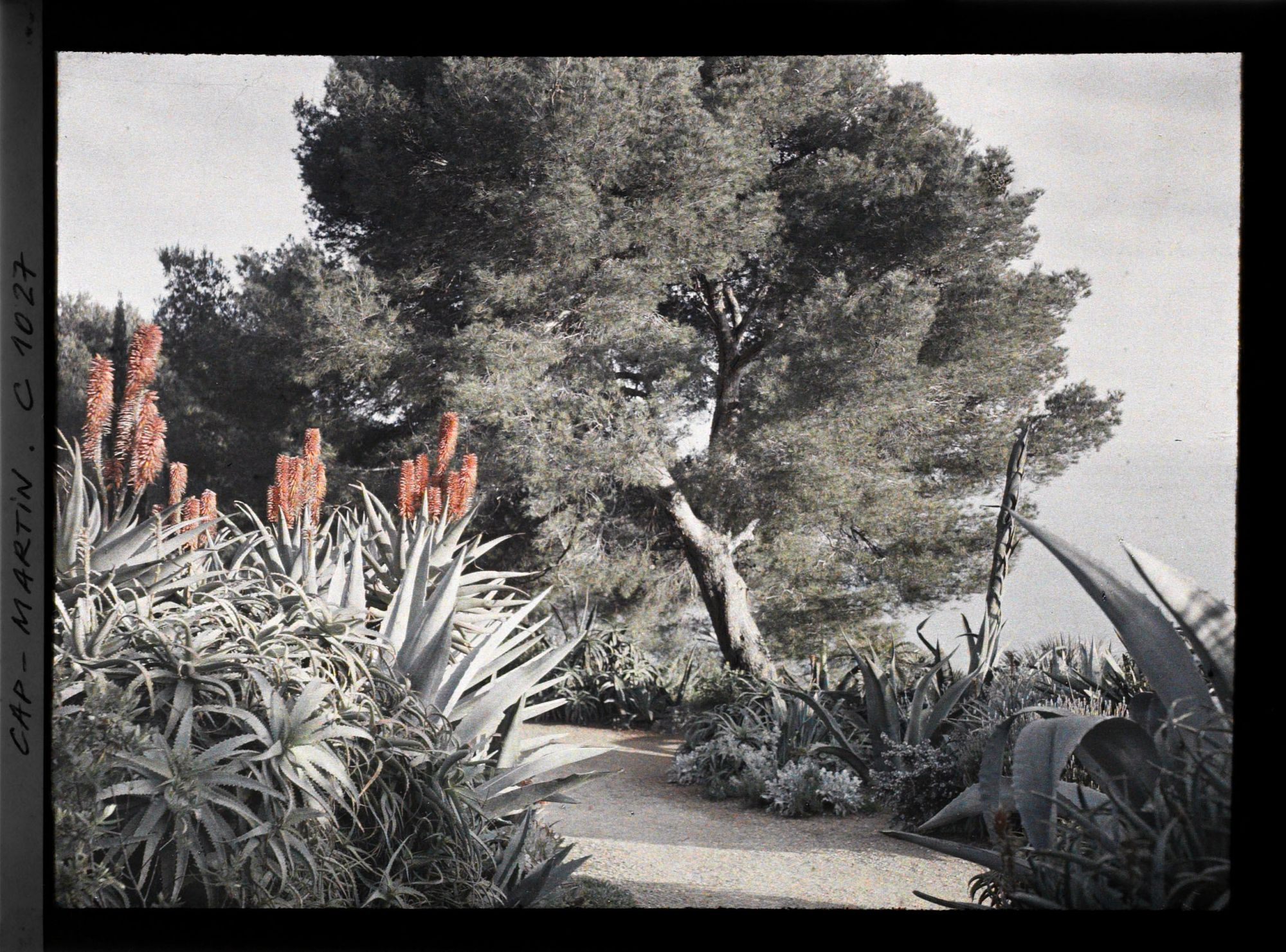 Image représentant Le Jardin