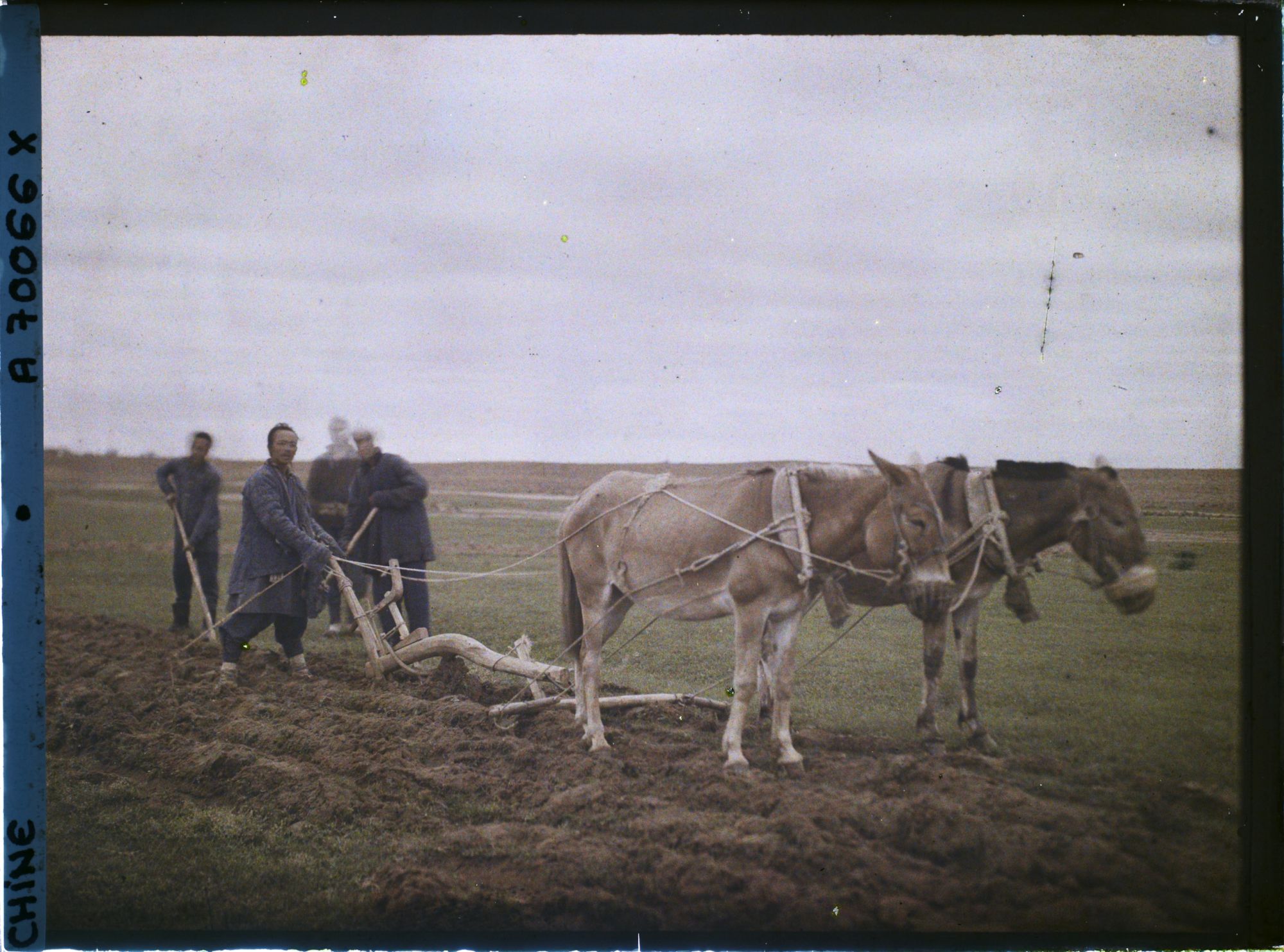 Image représentant Dans les champs