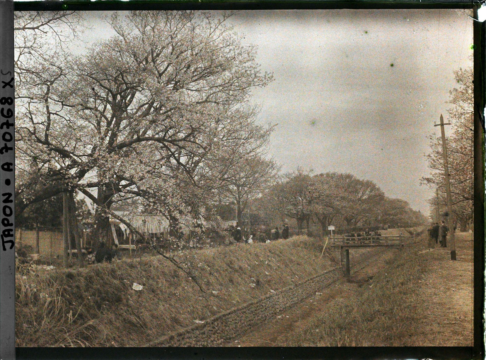 Image représentant Promenade à Koganei