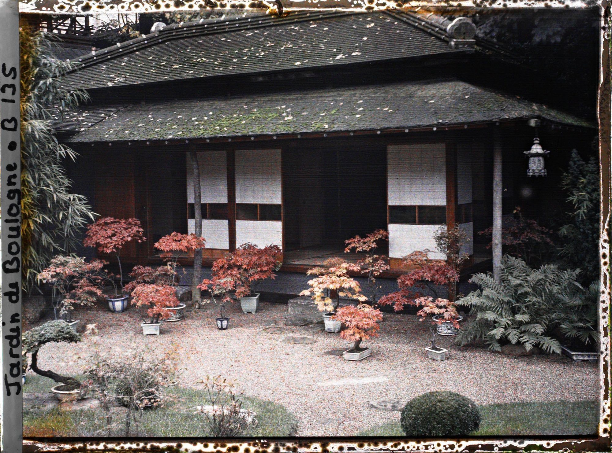 Image représentant Maison est du " village japonais ", ornée de bonsaïs d'érables rougeoyants