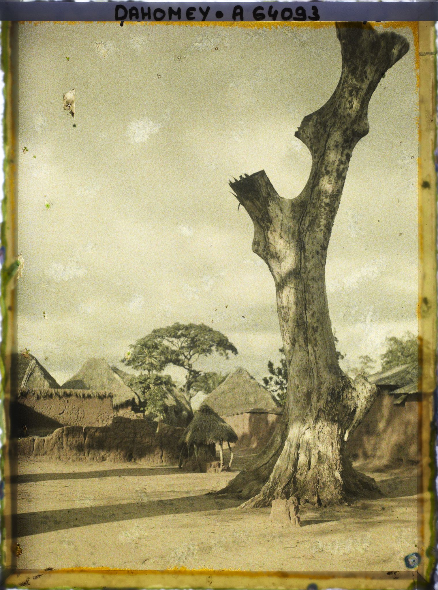 Image représentant Un arbre (sacré ?) dans le village