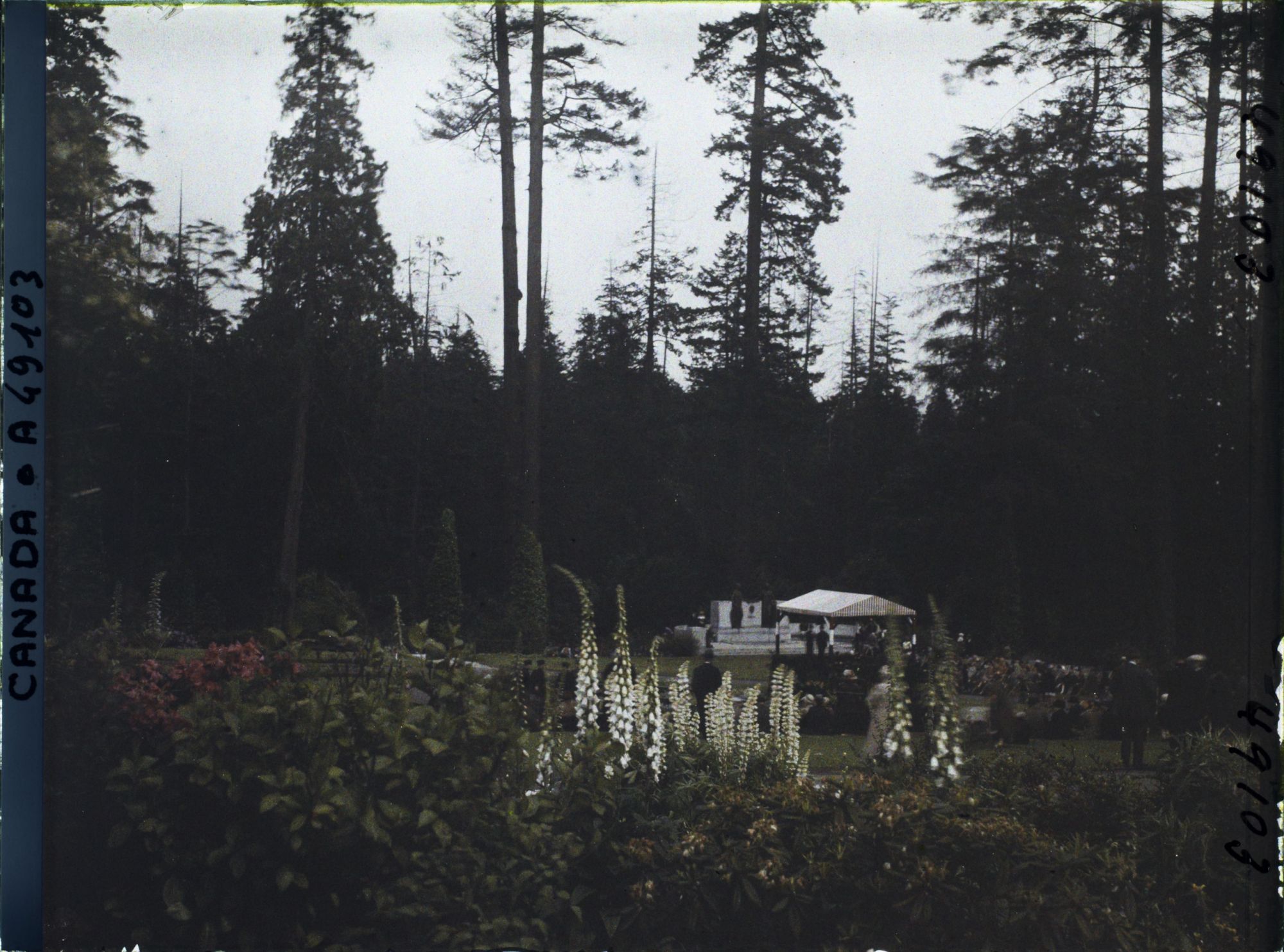 Image représentant Canada, Vancouver, Un Coin du Parc