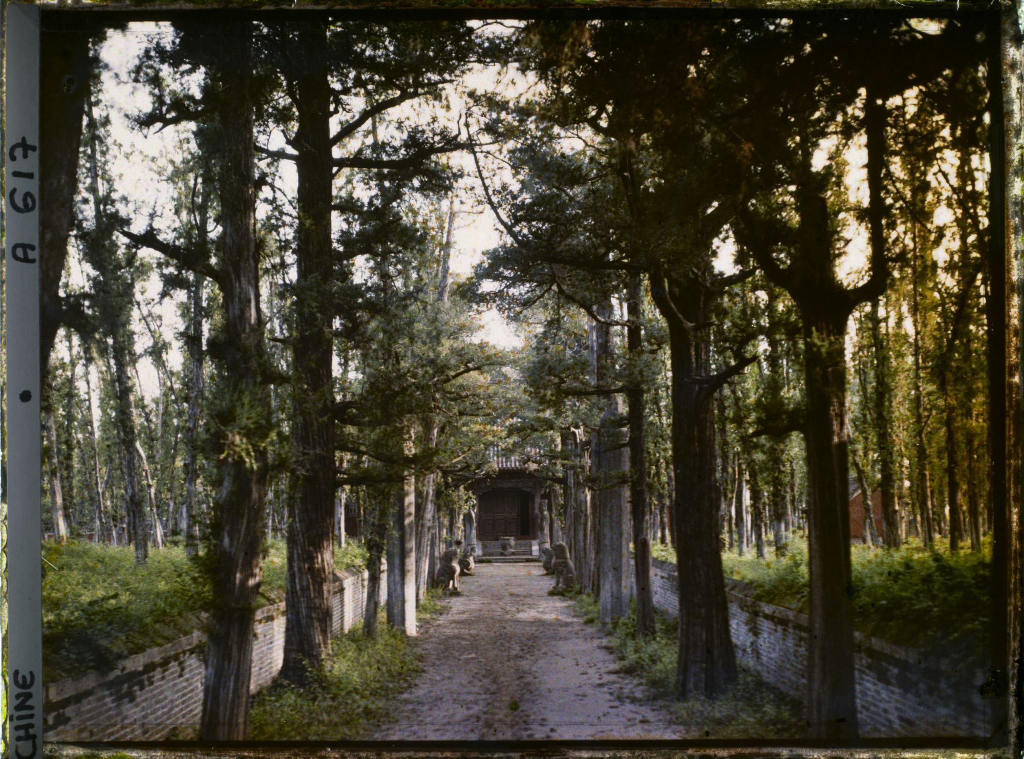 Image représentant Konglin, la nécropole de la famille de Confucius