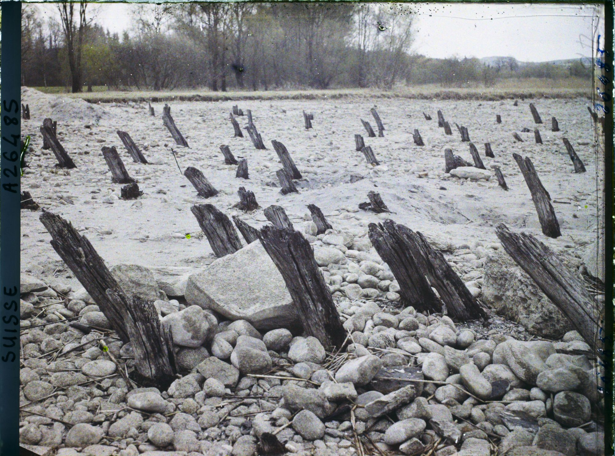 Image représentant Site palafittique préhistorique des Alpes, pieux en bois visibles lors de la baisse des eaux après la grande sécheresse de 1921