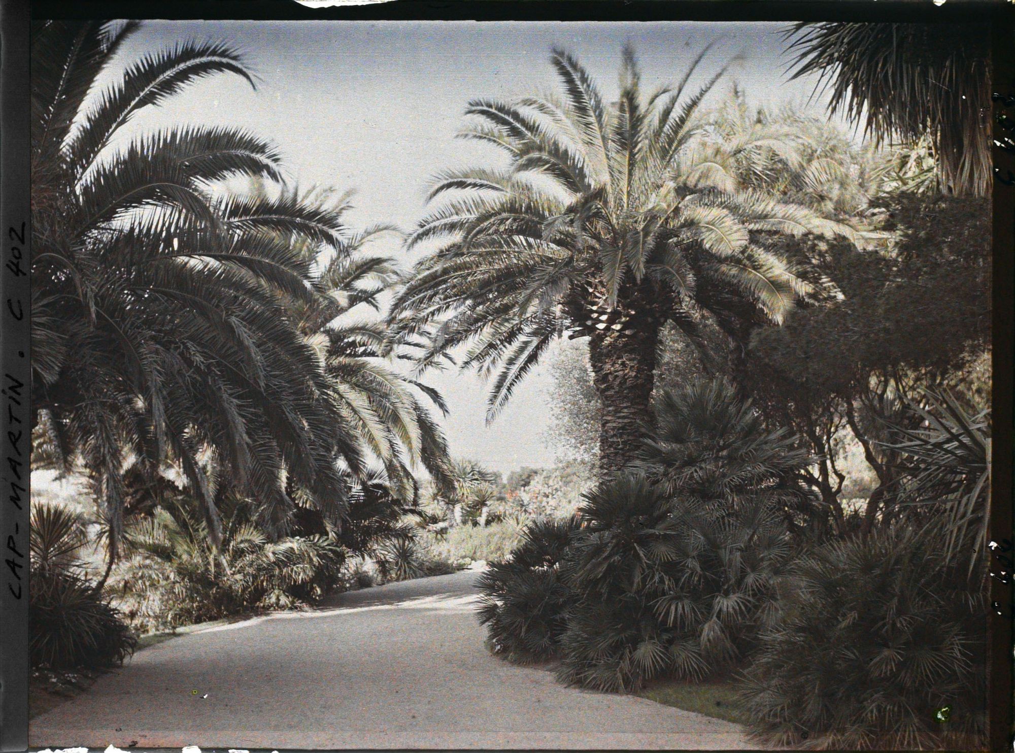 Image représentant Cap Martin Le Jardin