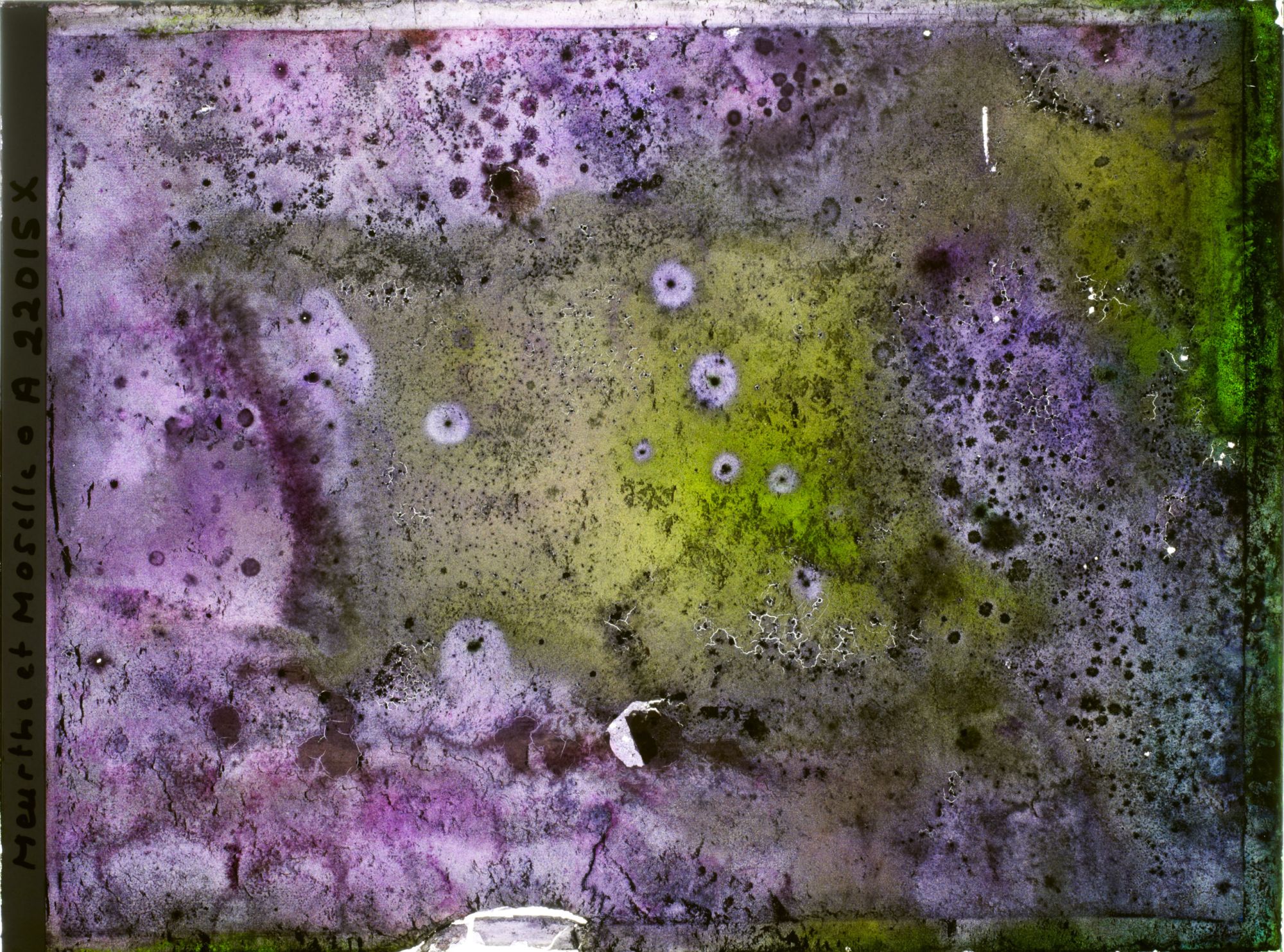 Image représentant Image illisible, plaque endommagée par l'eau (altérations d'époque)