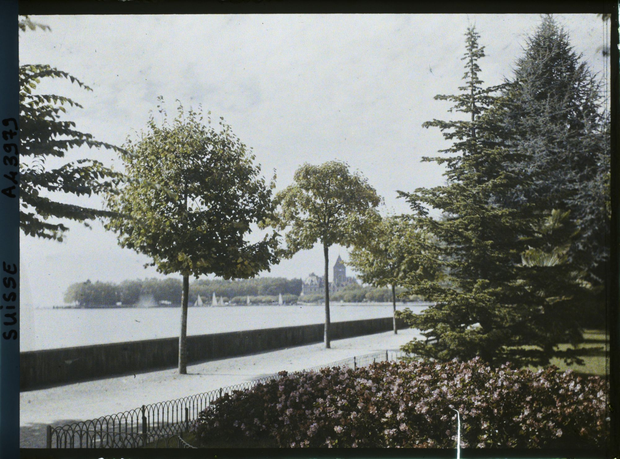 Image représentant Le château d'Ouchy et le Léman vus du quai de Belgique