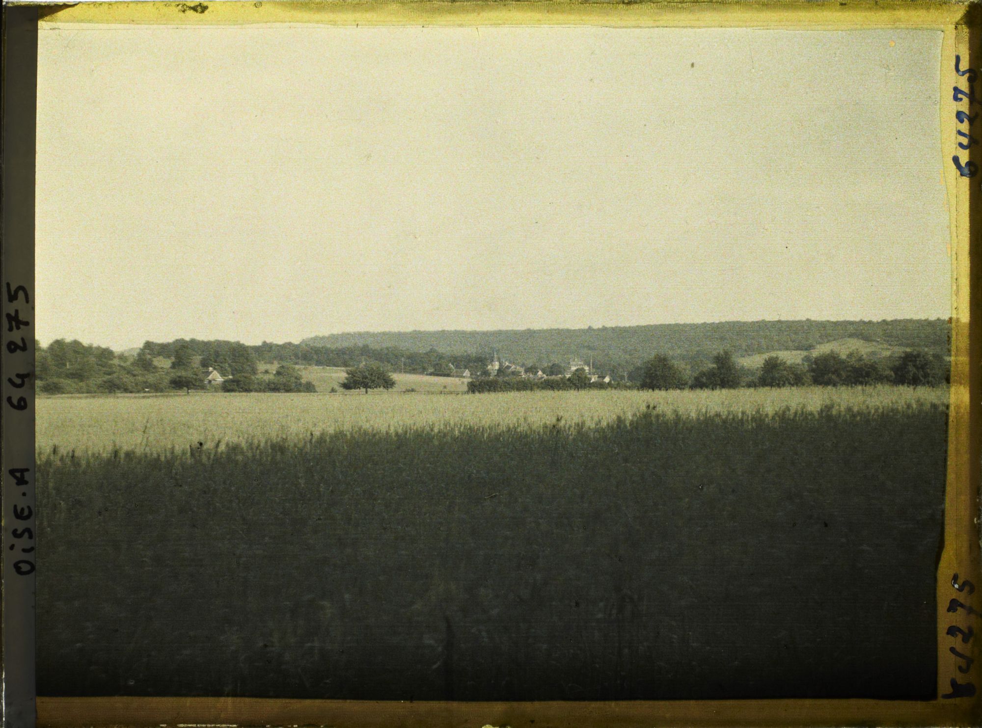 Image représentant Ile de France, Autriches, Effets de jour sur Champ de blé