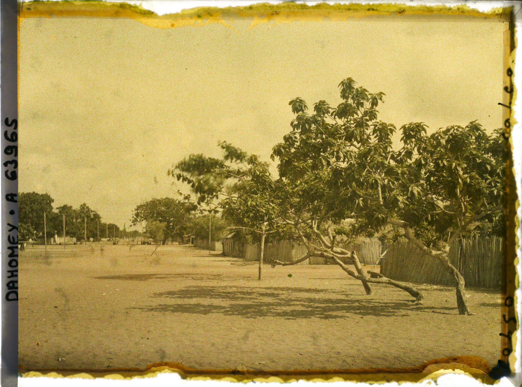 Image représentant Une avenue