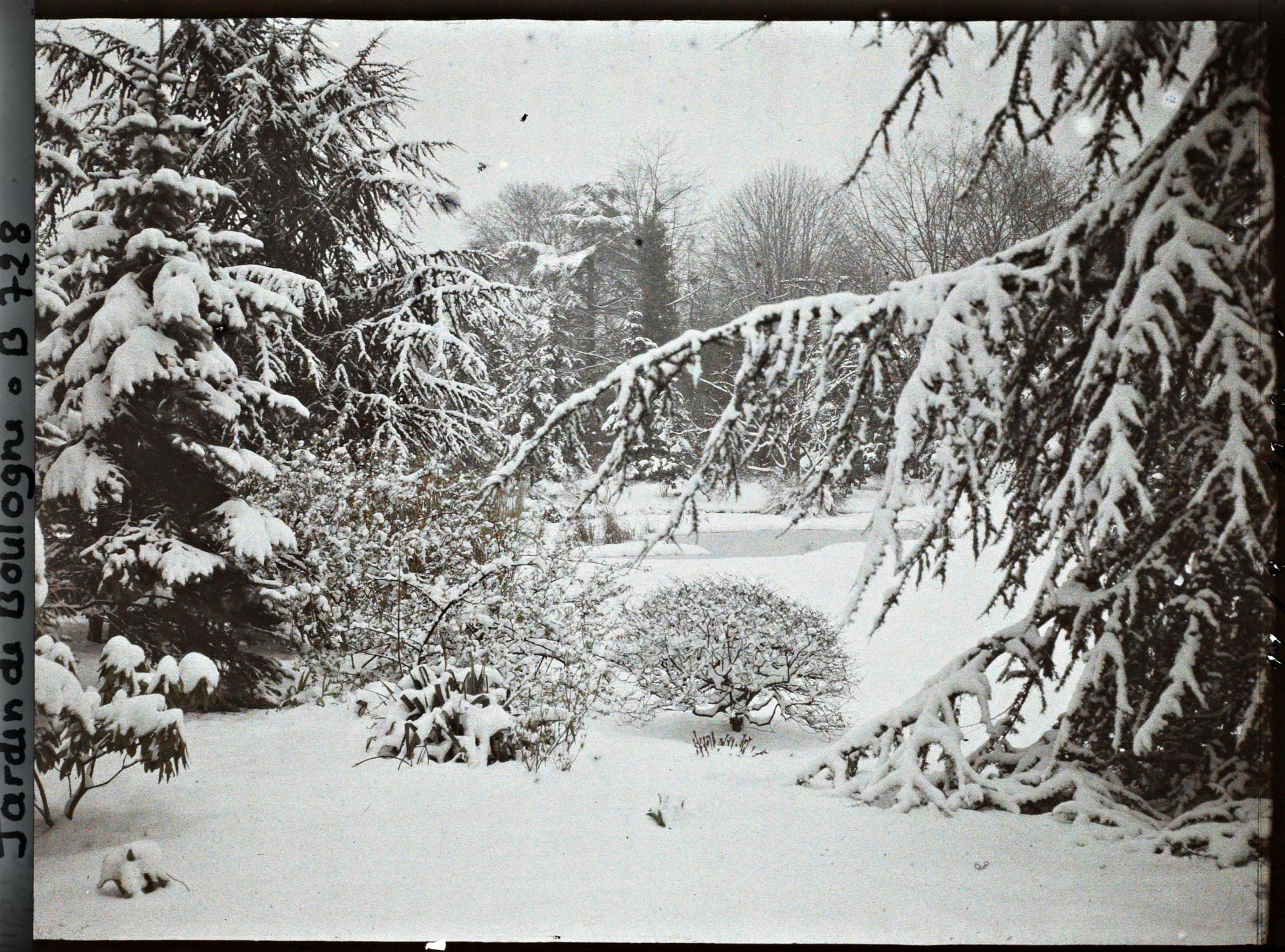 Image représentant Forêt bleue et Marais sous la neige