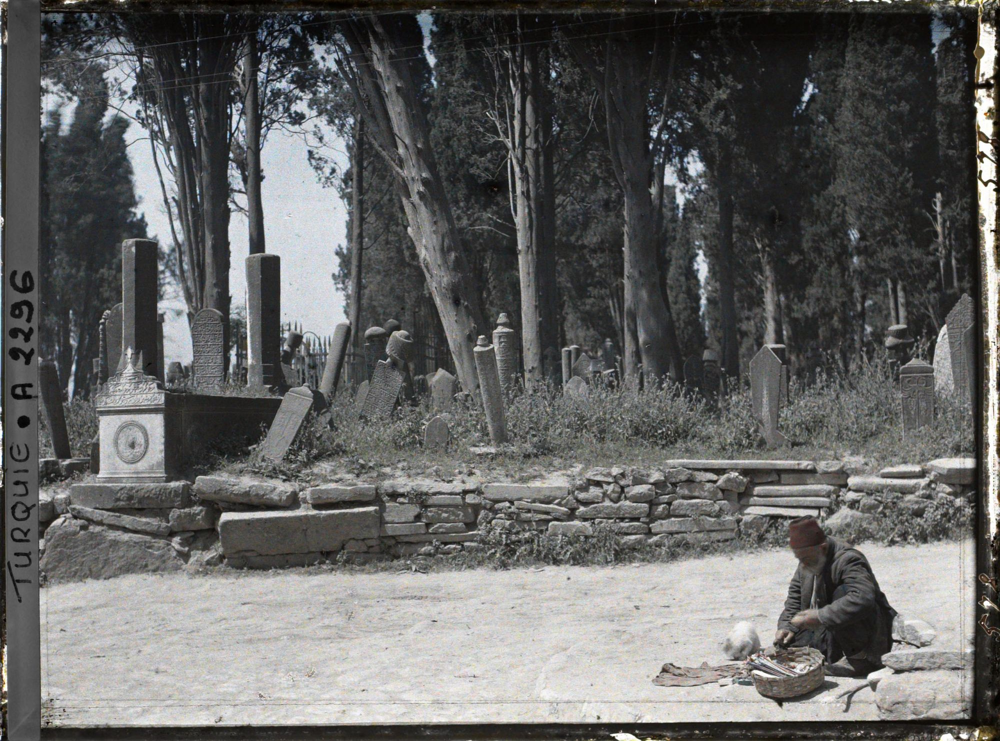 Image représentant Cimetière de Karacaahmet ou Büyük Mezaristan ("Grand cimetière"), dans un bois de cyprès