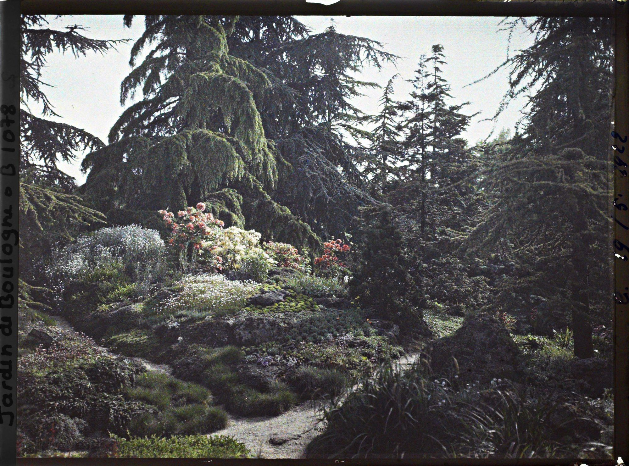 Image représentant Butte fleurie du " sanctuaire japonais " située entre le sorinto et le " village japonais "