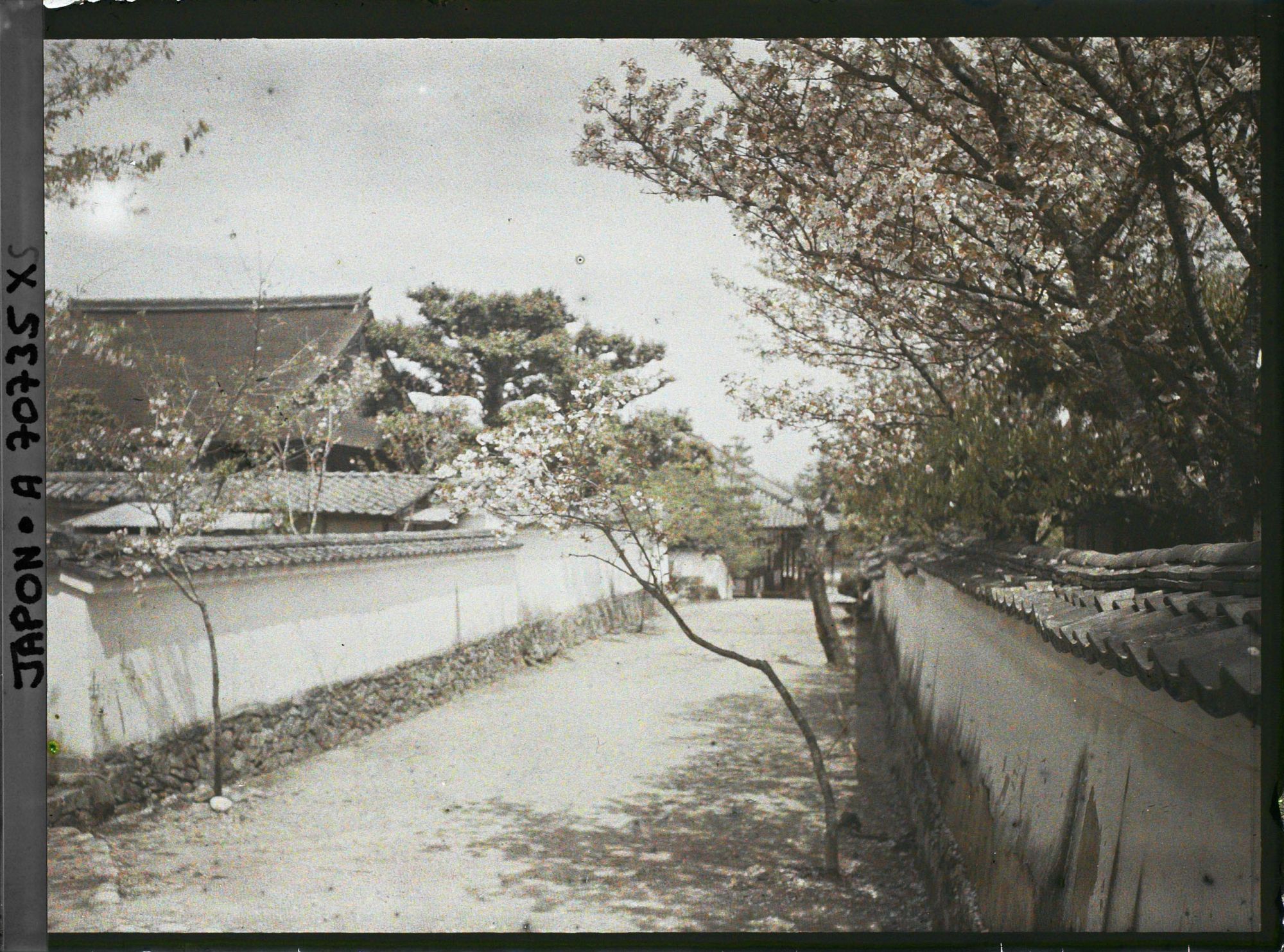Image représentant Abords d'un temple