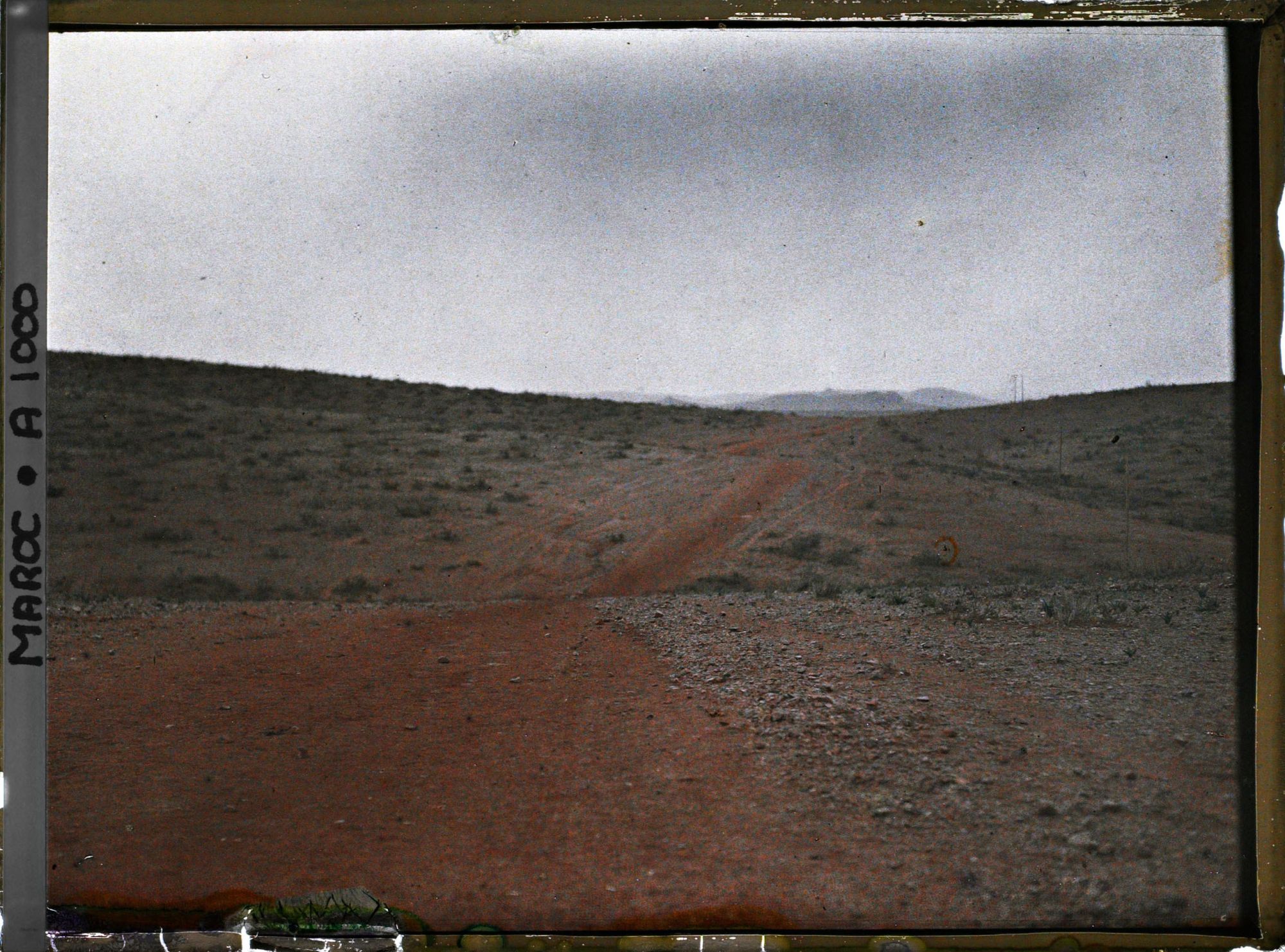 Image représentant Paysage parsemé de touffes d'alfa