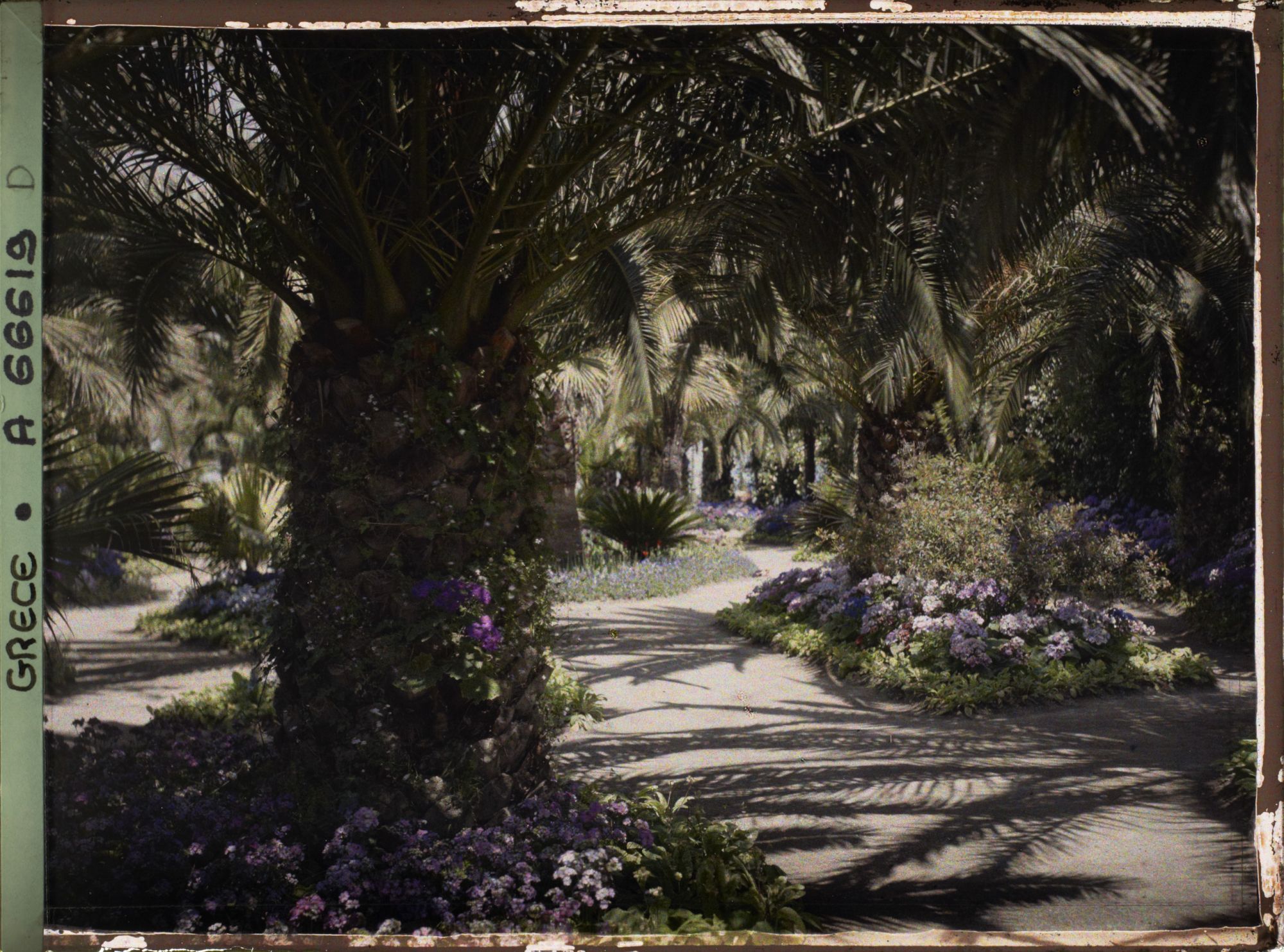 Image représentant L'Achilleion - Les Jardins