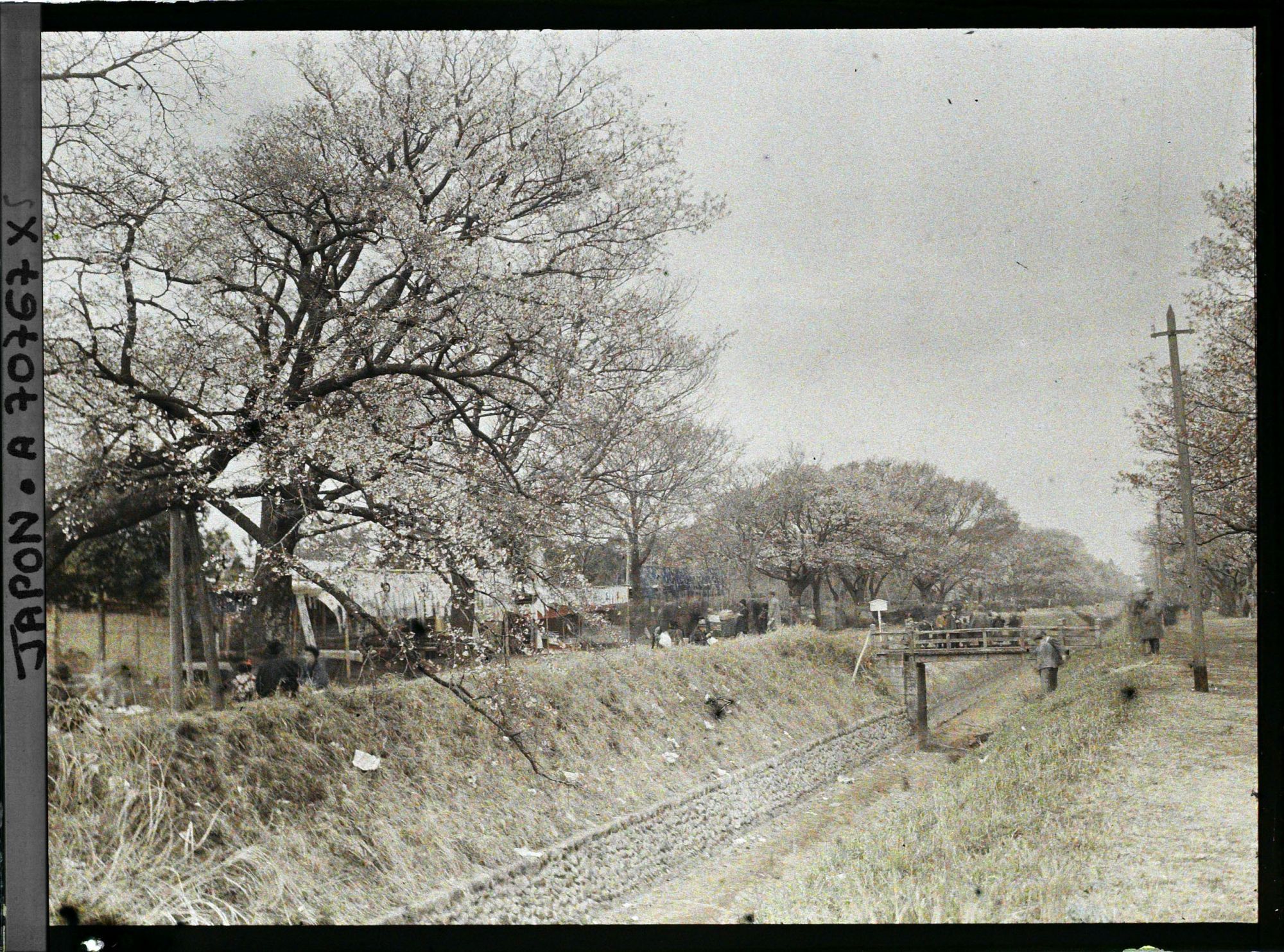 Image représentant Promenade à Koganei