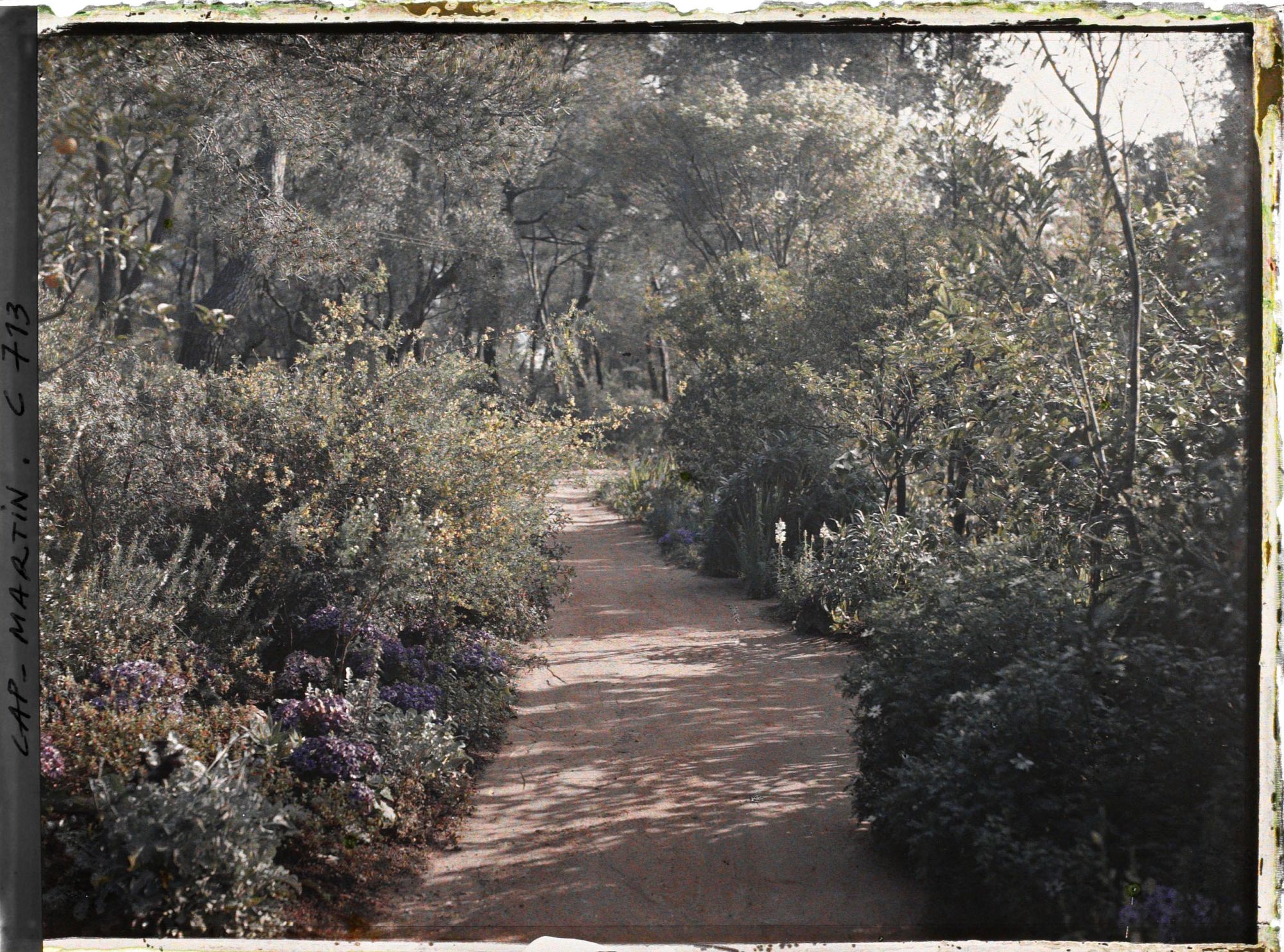 Image représentant Jardin divers