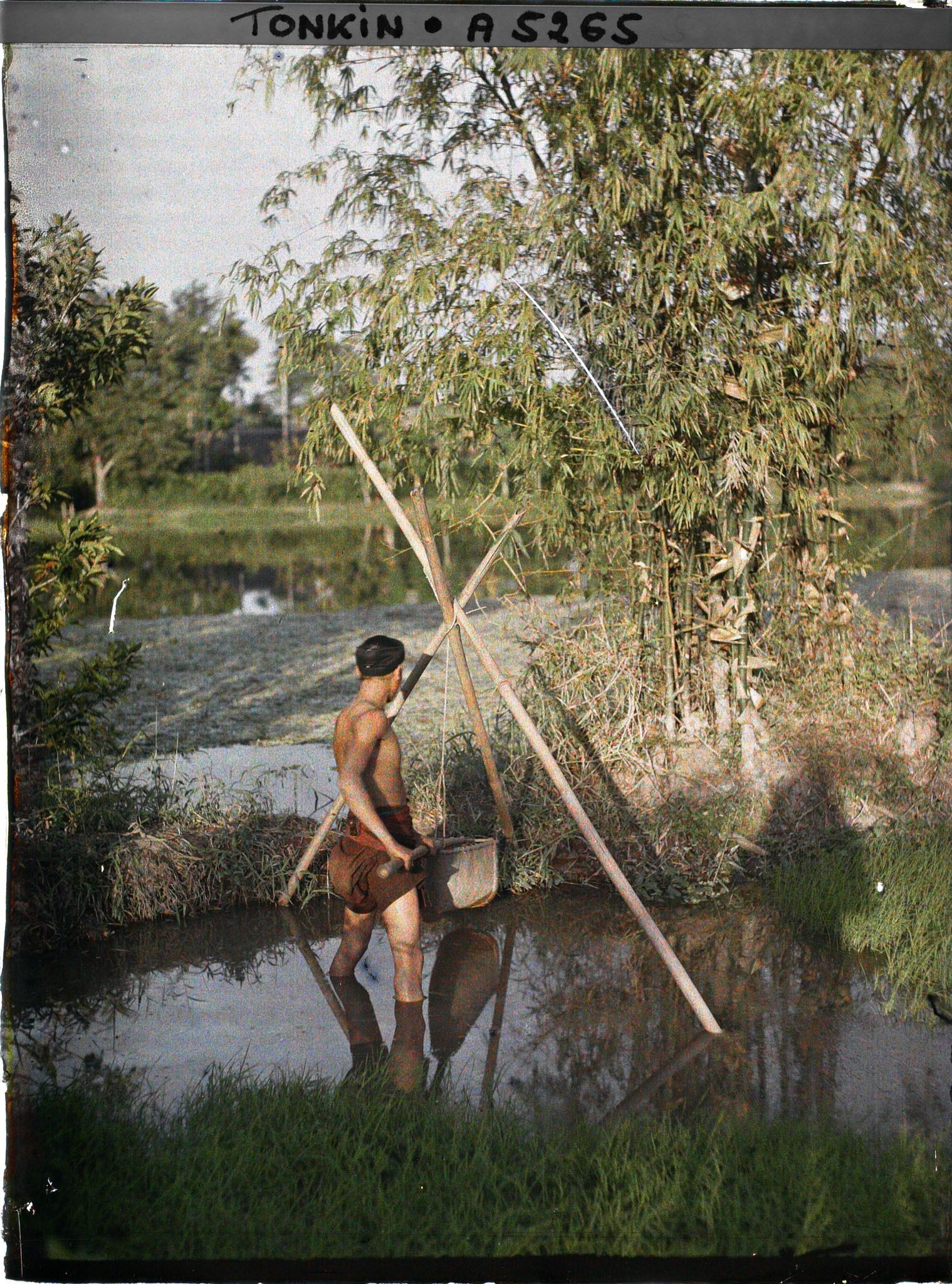 Image représentant Un homme utilisant un seau à manche, système élévatoire d'eau pour l'irrigation du riz