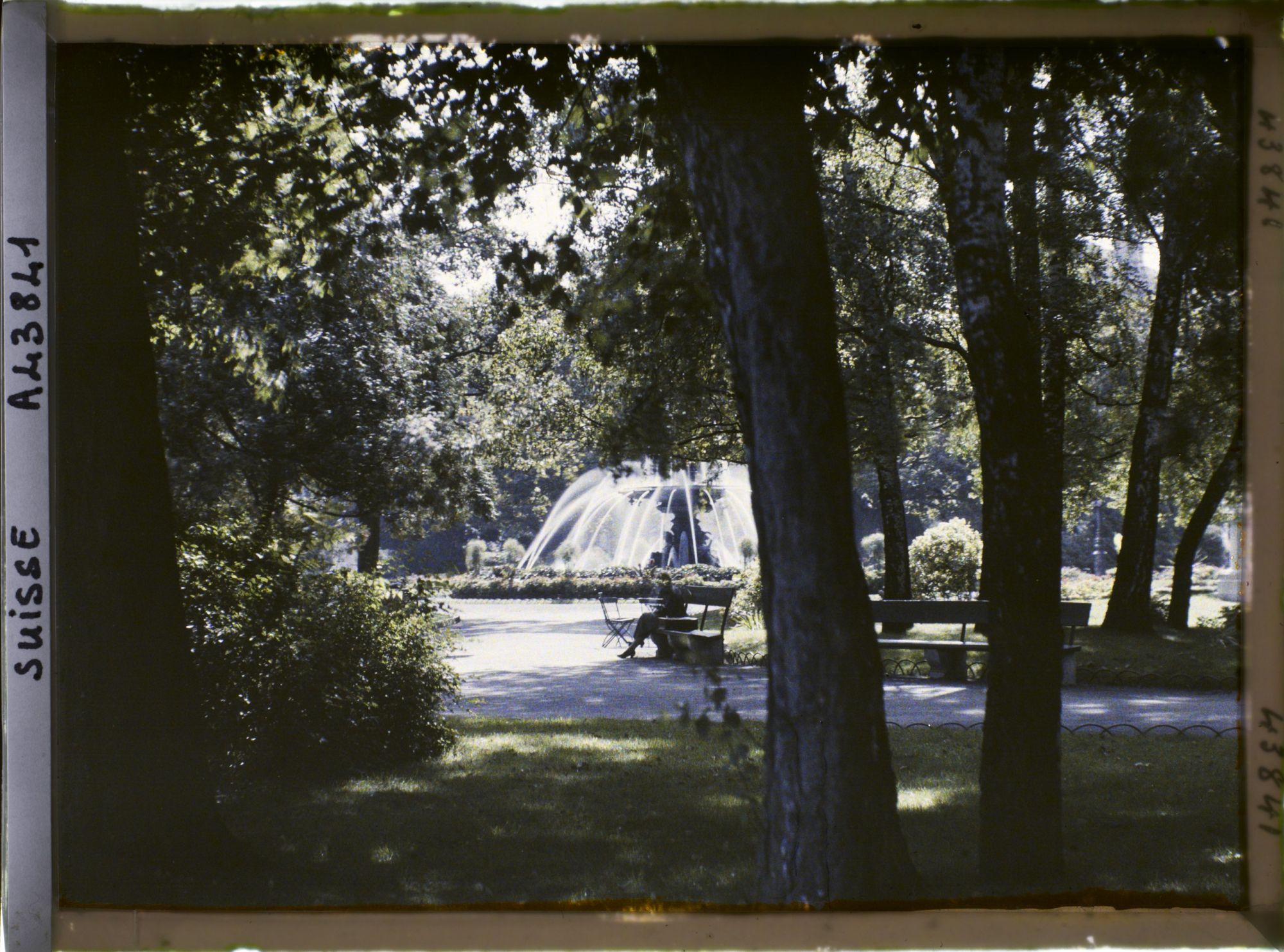Image représentant Une fontaine dans le Jardin anglais