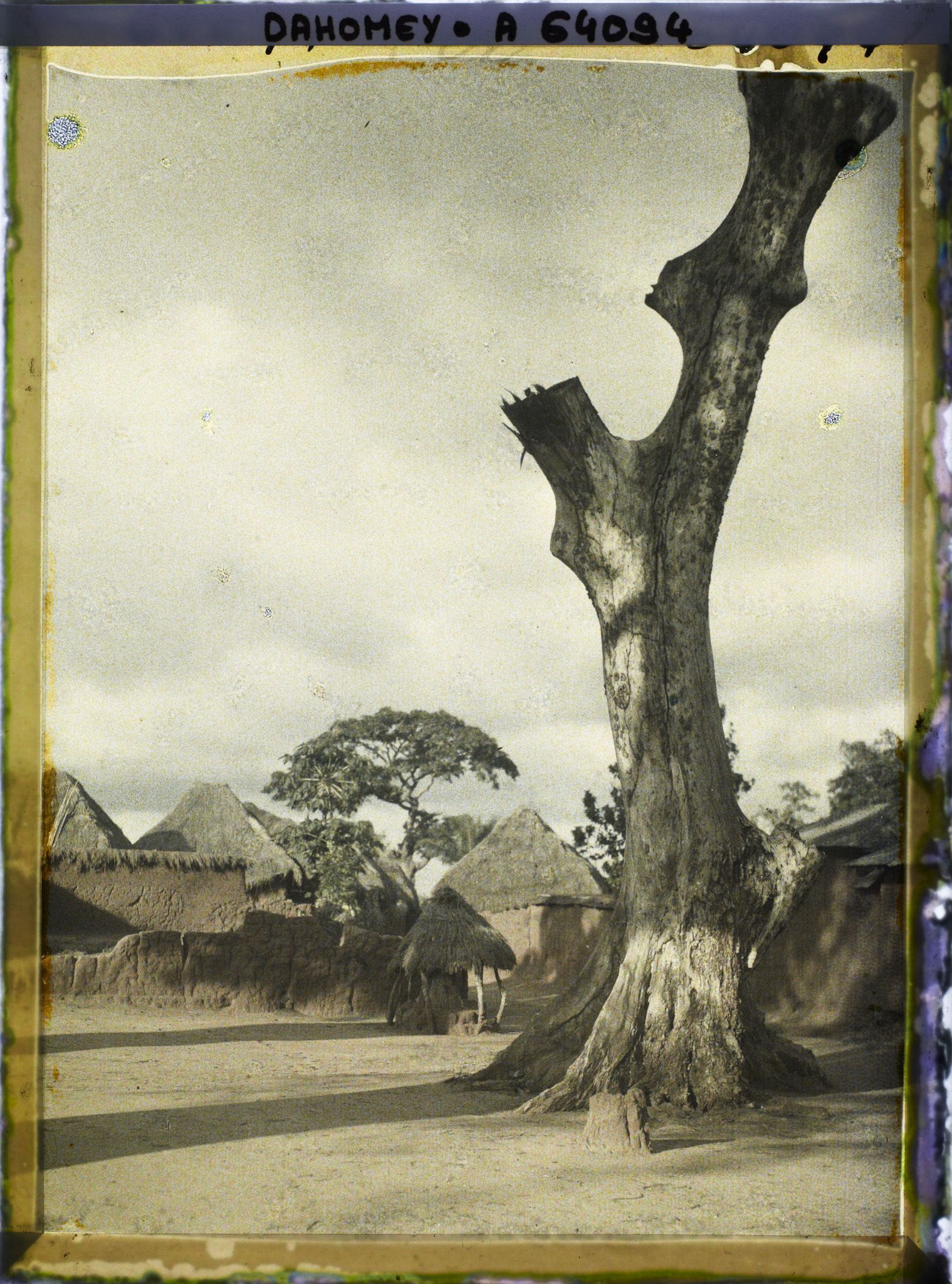 Image représentant Un arbre (sacré ?) dans le village