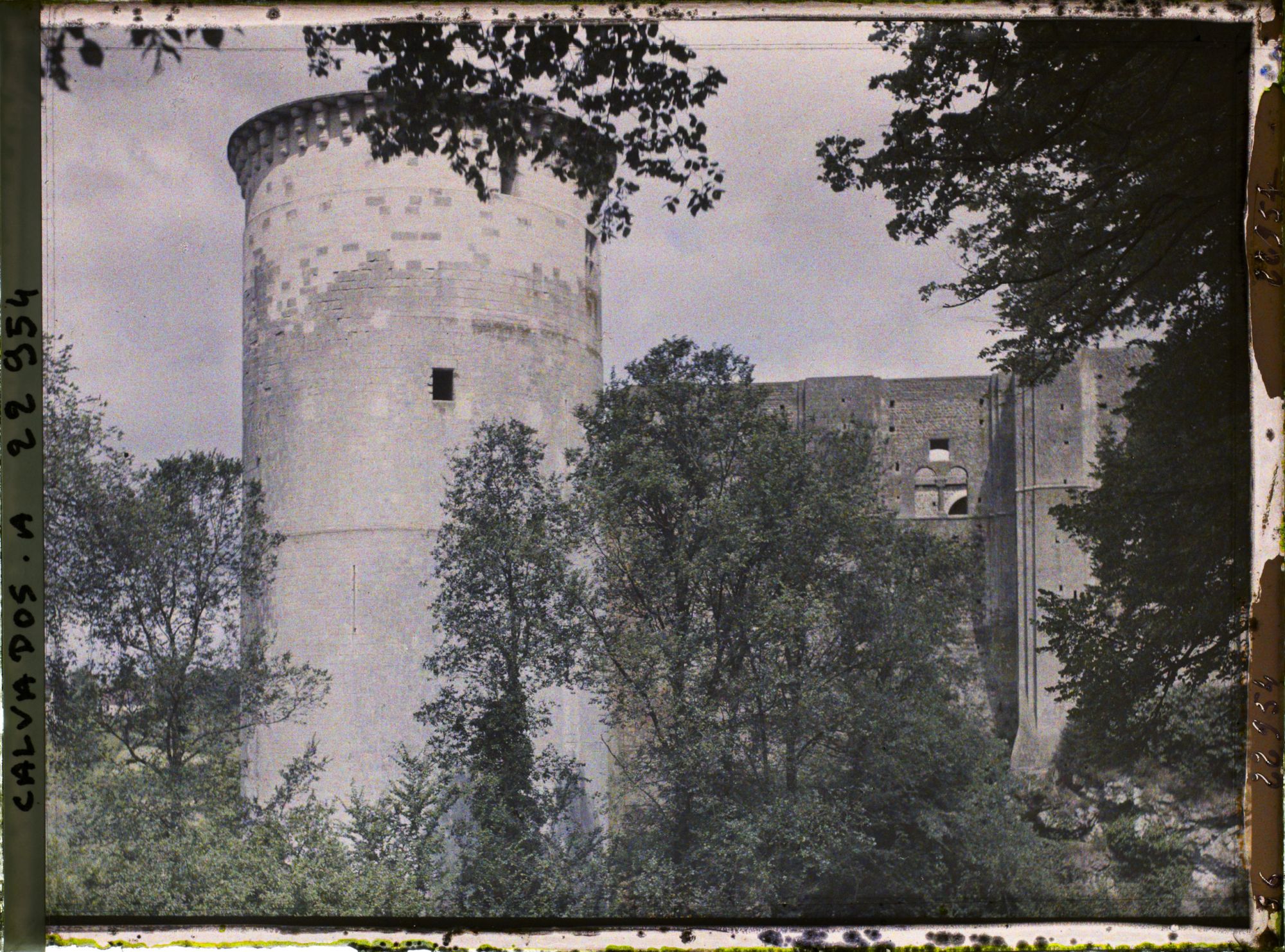 Image représentant La Tour Talbot du Château de Guillaume le Conquérant