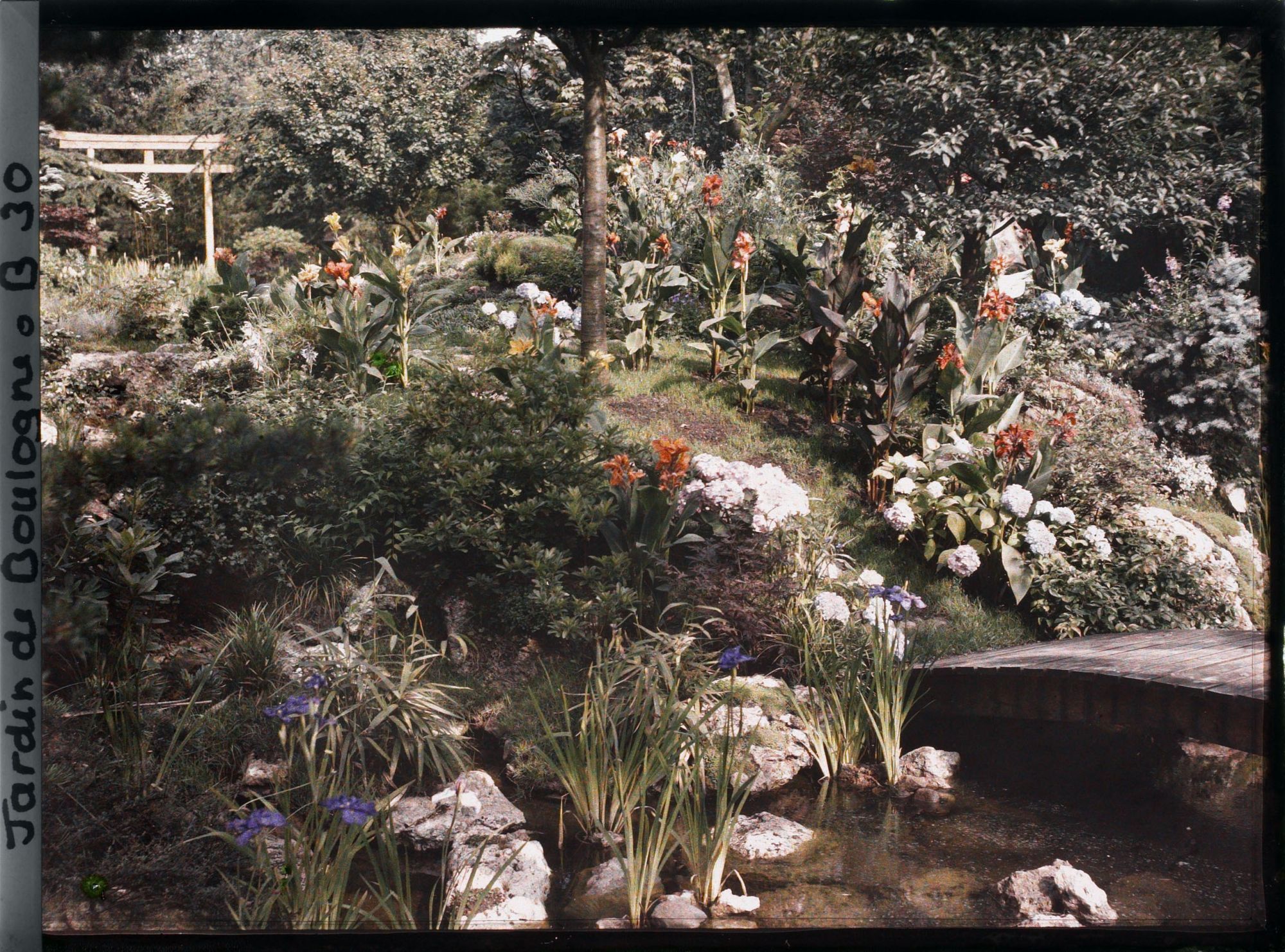 Image représentant Torii du " sanctuaire japonais " au sommet de la rive fleurie d'un cours d'eau