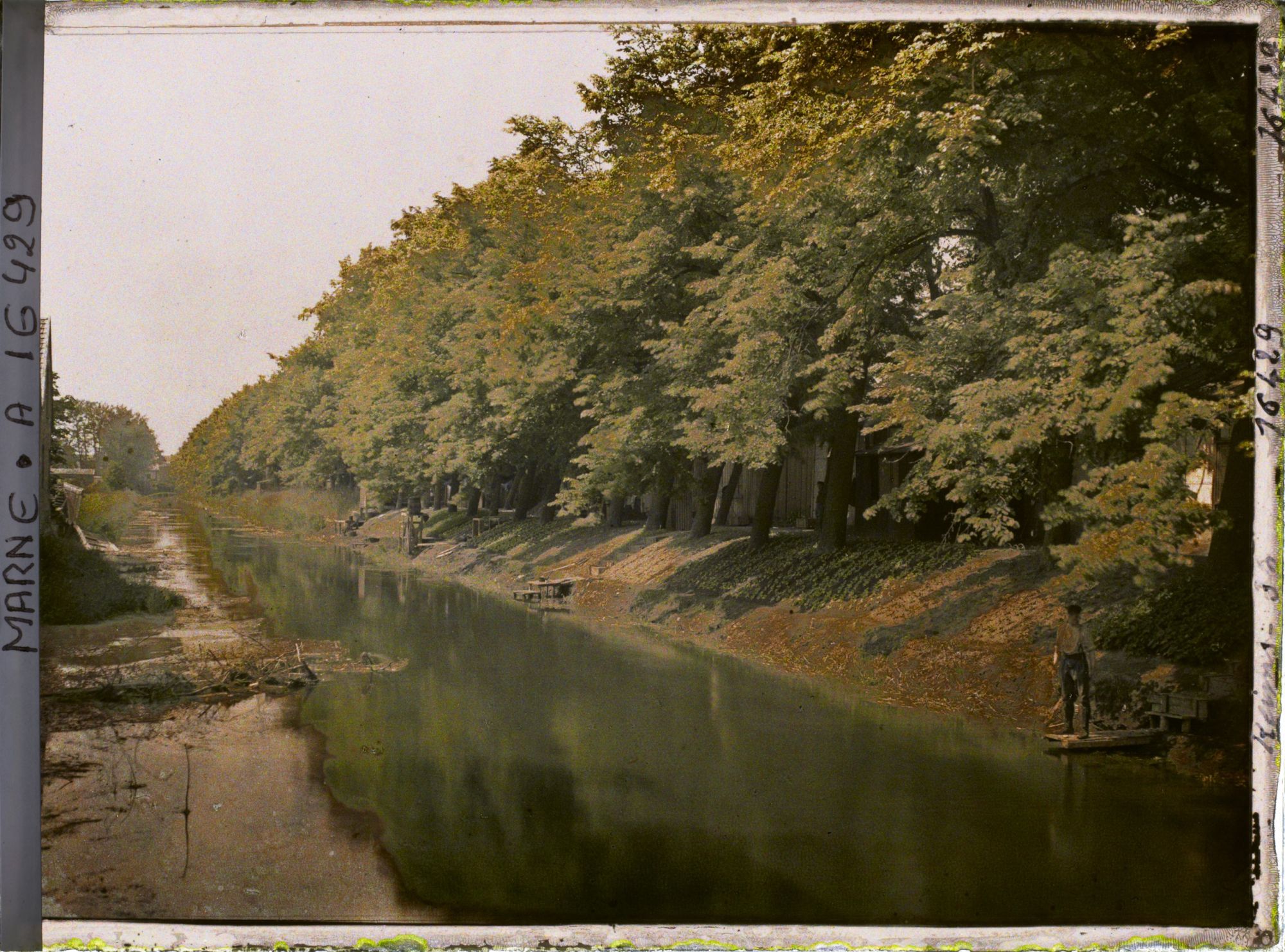 Image représentant France , Reims, Bords de la Vesles : Jardins cultivés par les prisonniers allemands