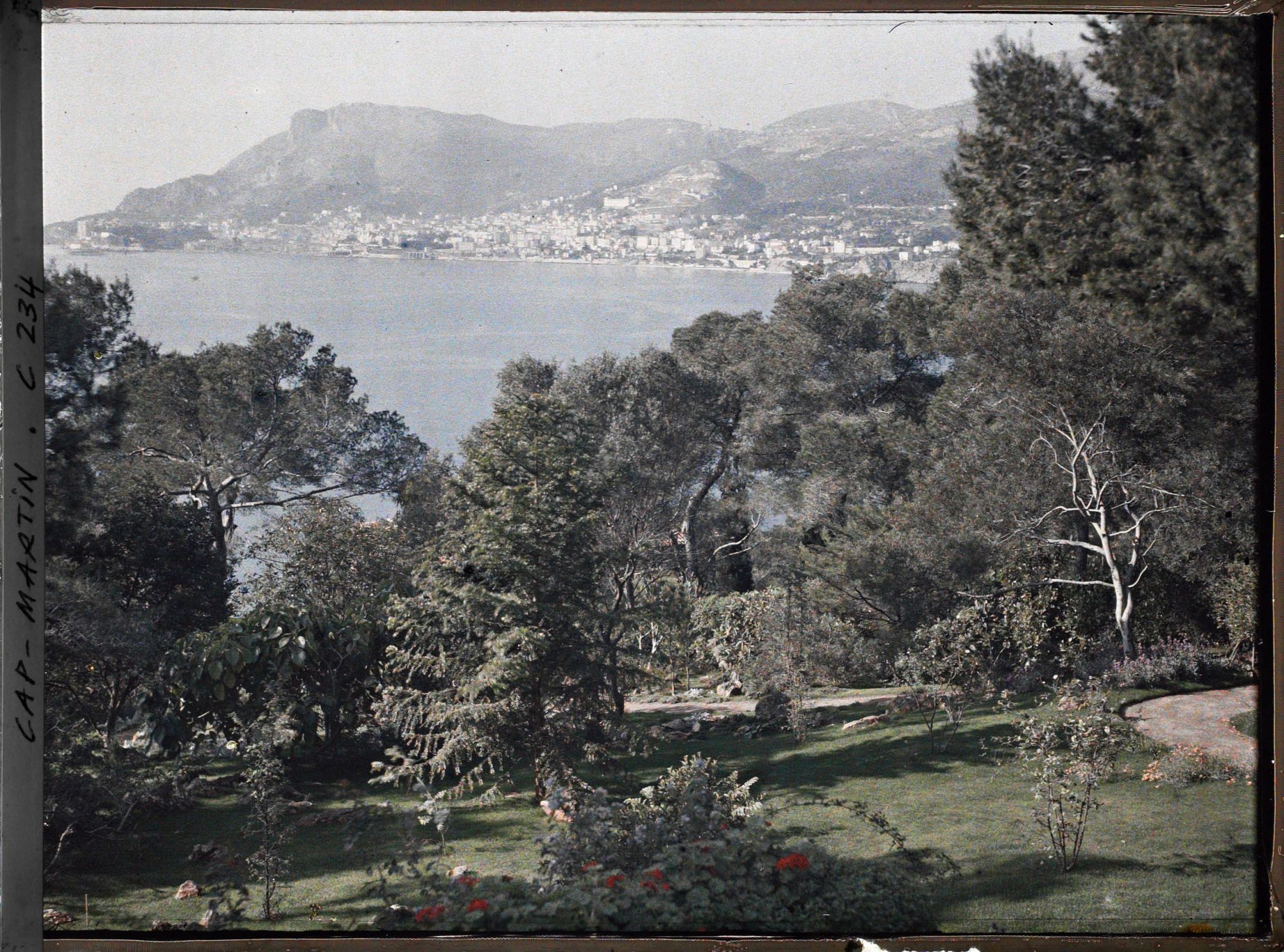Image représentant Cap-Martin - Vue prise du Jardin de Dunure