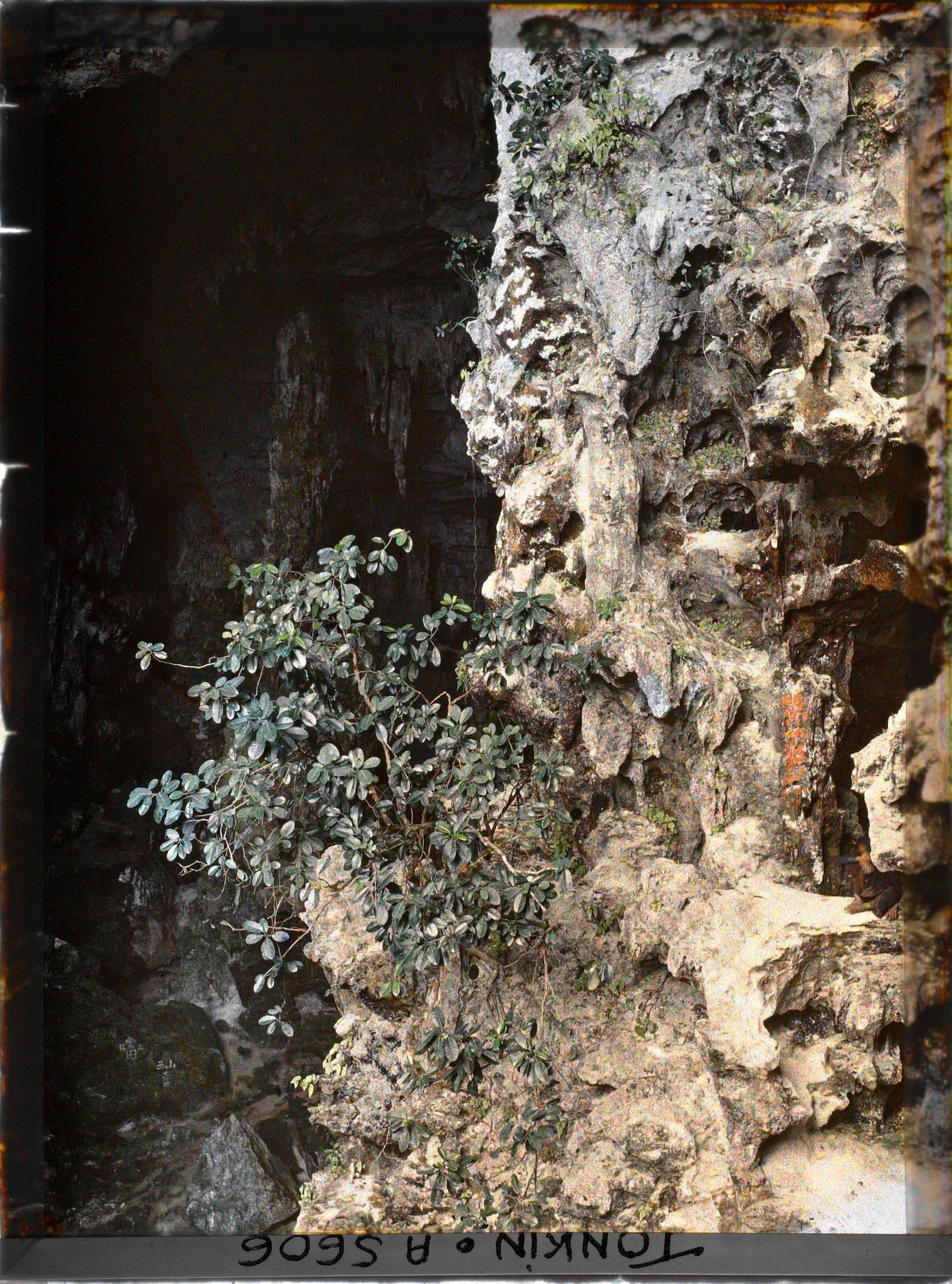 Image représentant L'intérieur de la " Grotte des Merveilles ", près de l'entrée