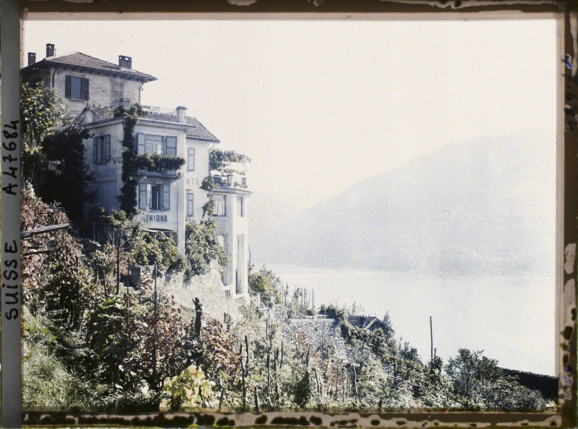 Image représentant Panorama sur Orselina et le lac Majeur