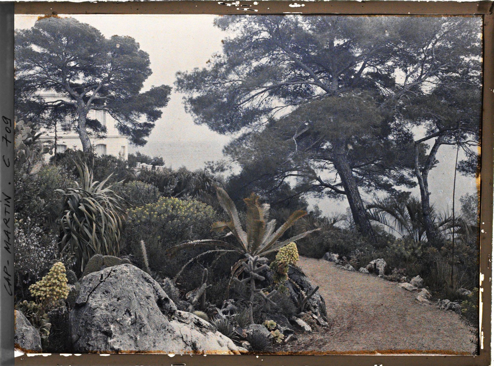 Image représentant Jardin divers