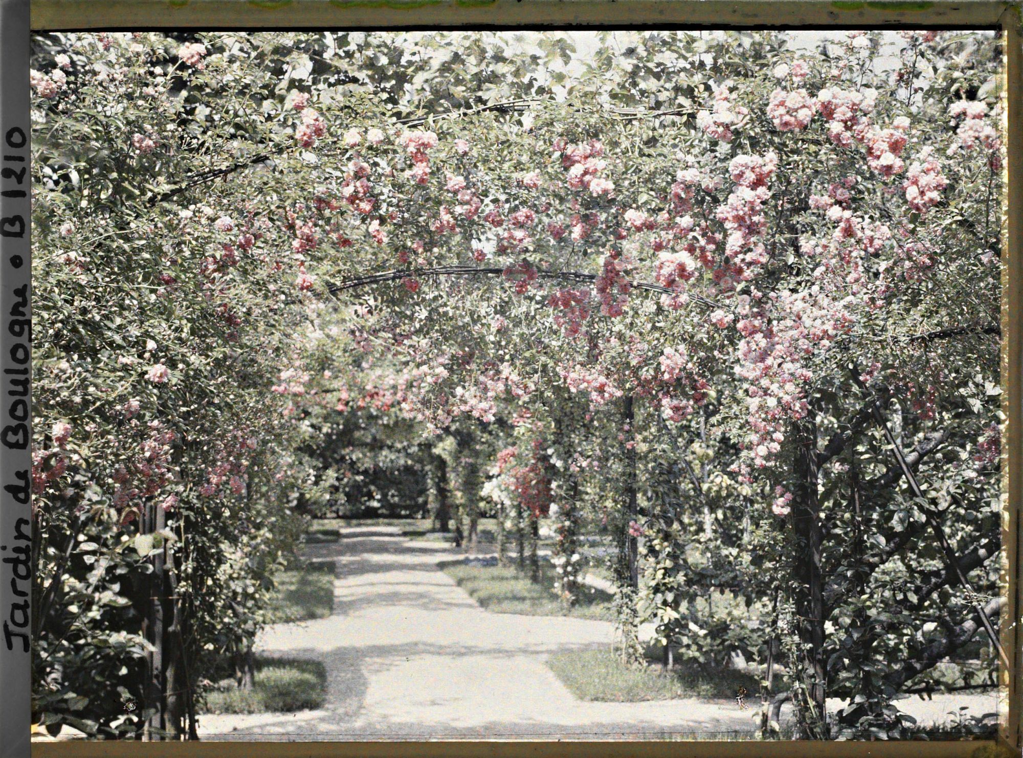 Image représentant Axe central du verger-roseraie vu à mi-parcours, en direction de la dépendance