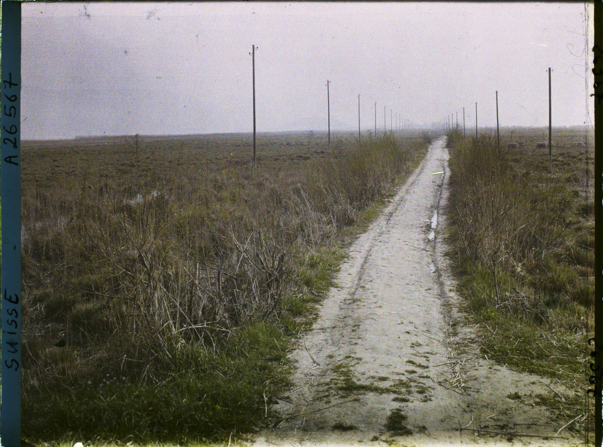 Image représentant La route de l'île Saint-Pierre