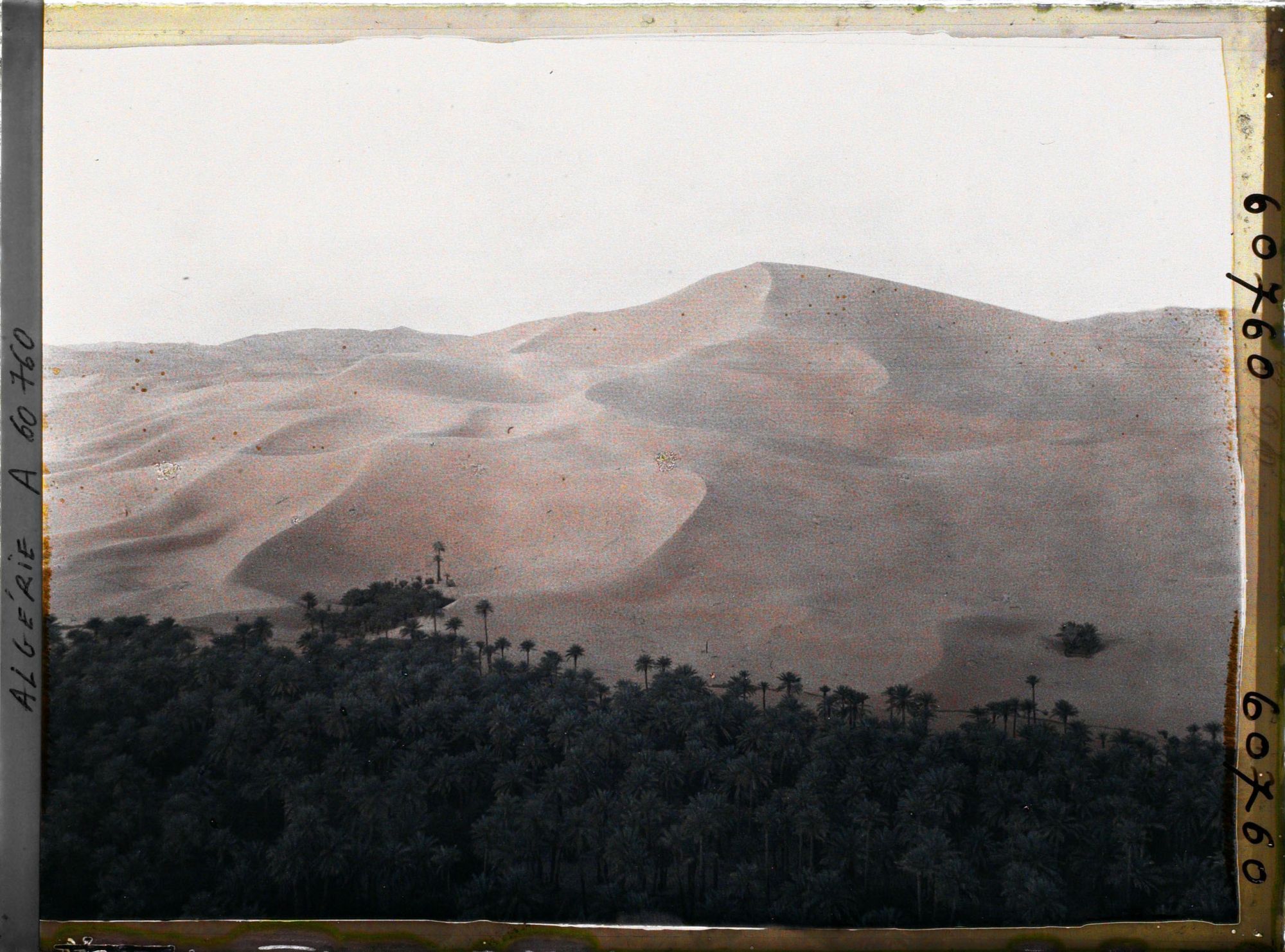 Image représentant L'oasis au pied du Grand Erg