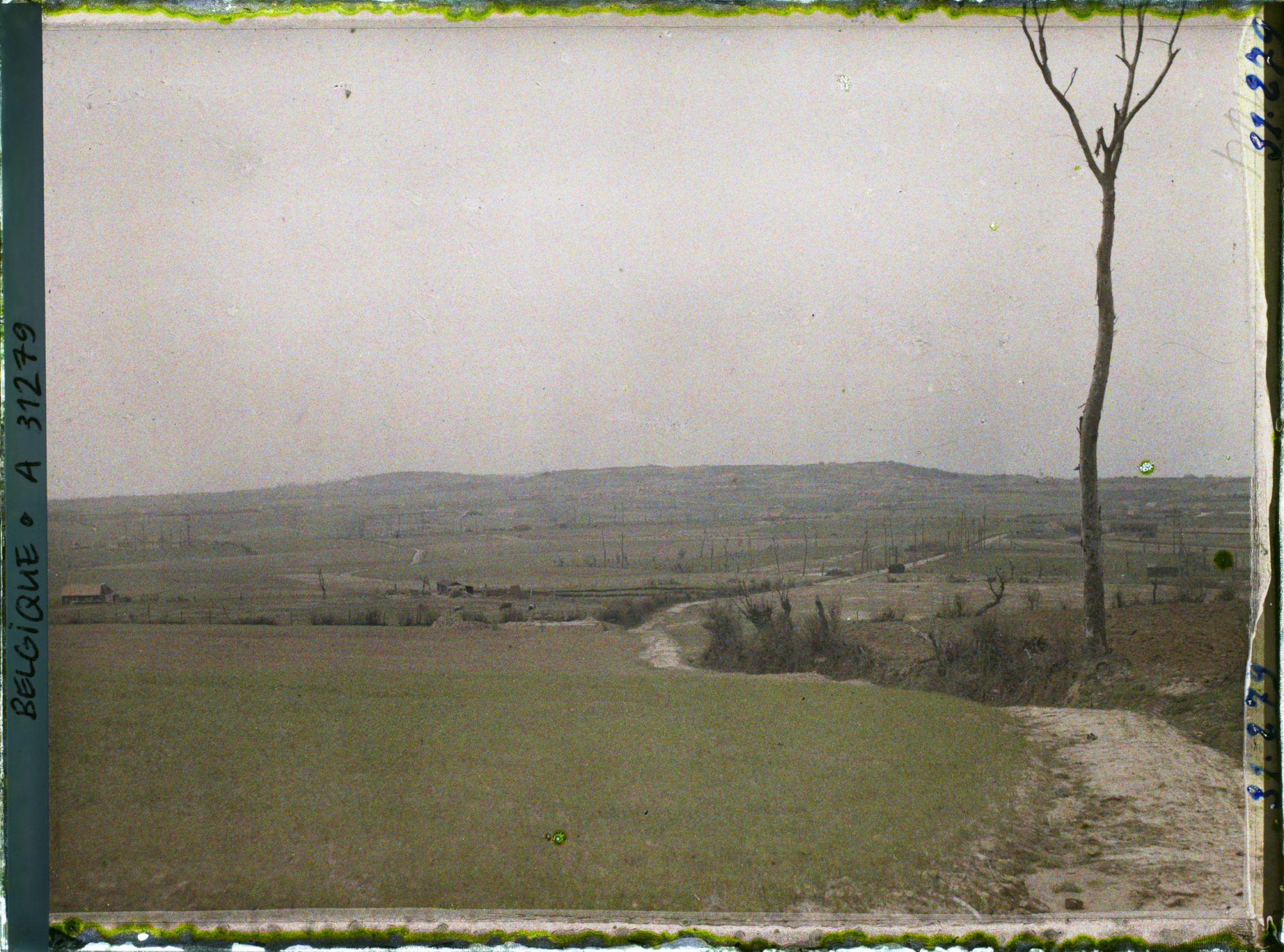 Image représentant Belgique, Kemmel, Le Mont Rouge vu du Kemmel