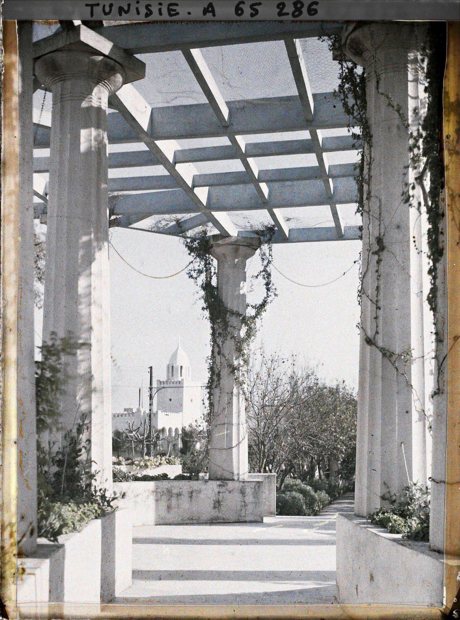 Image représentant La pergola du palais d'été du résident général